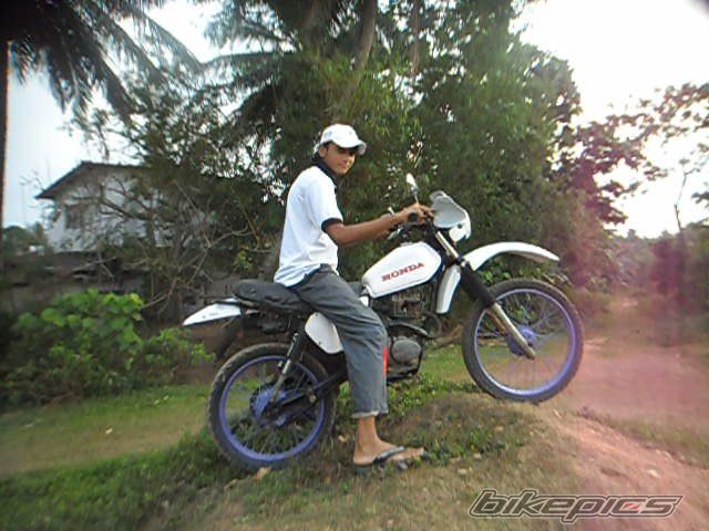 Photo 2556711
