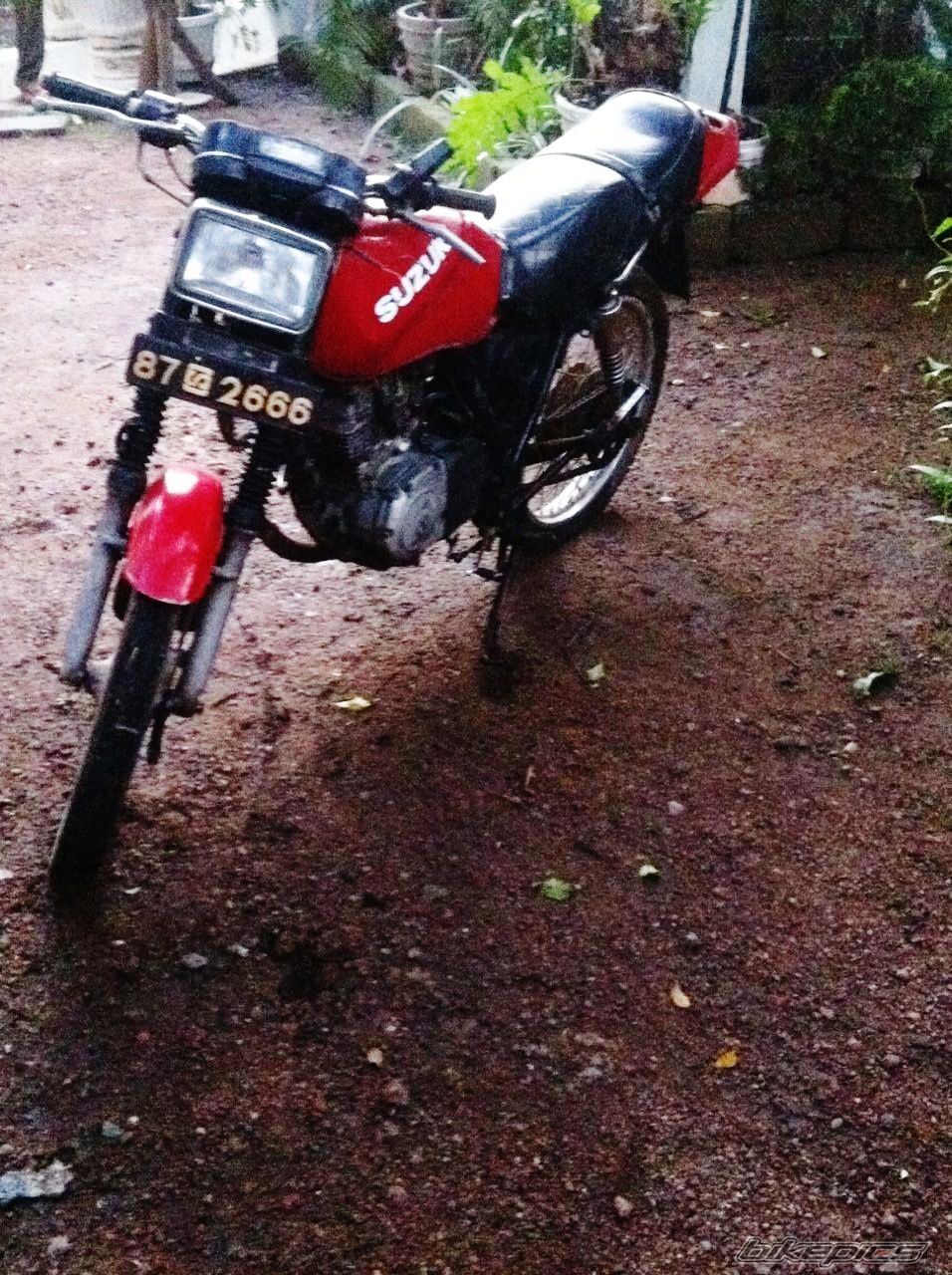 Photo 2556751