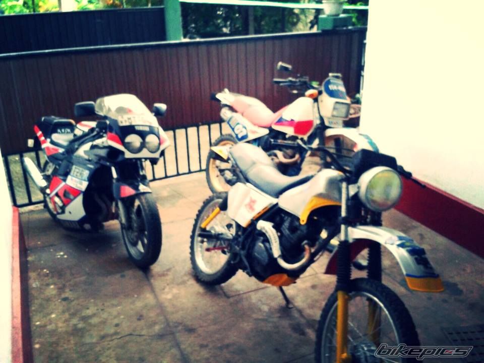 Photo 2556789