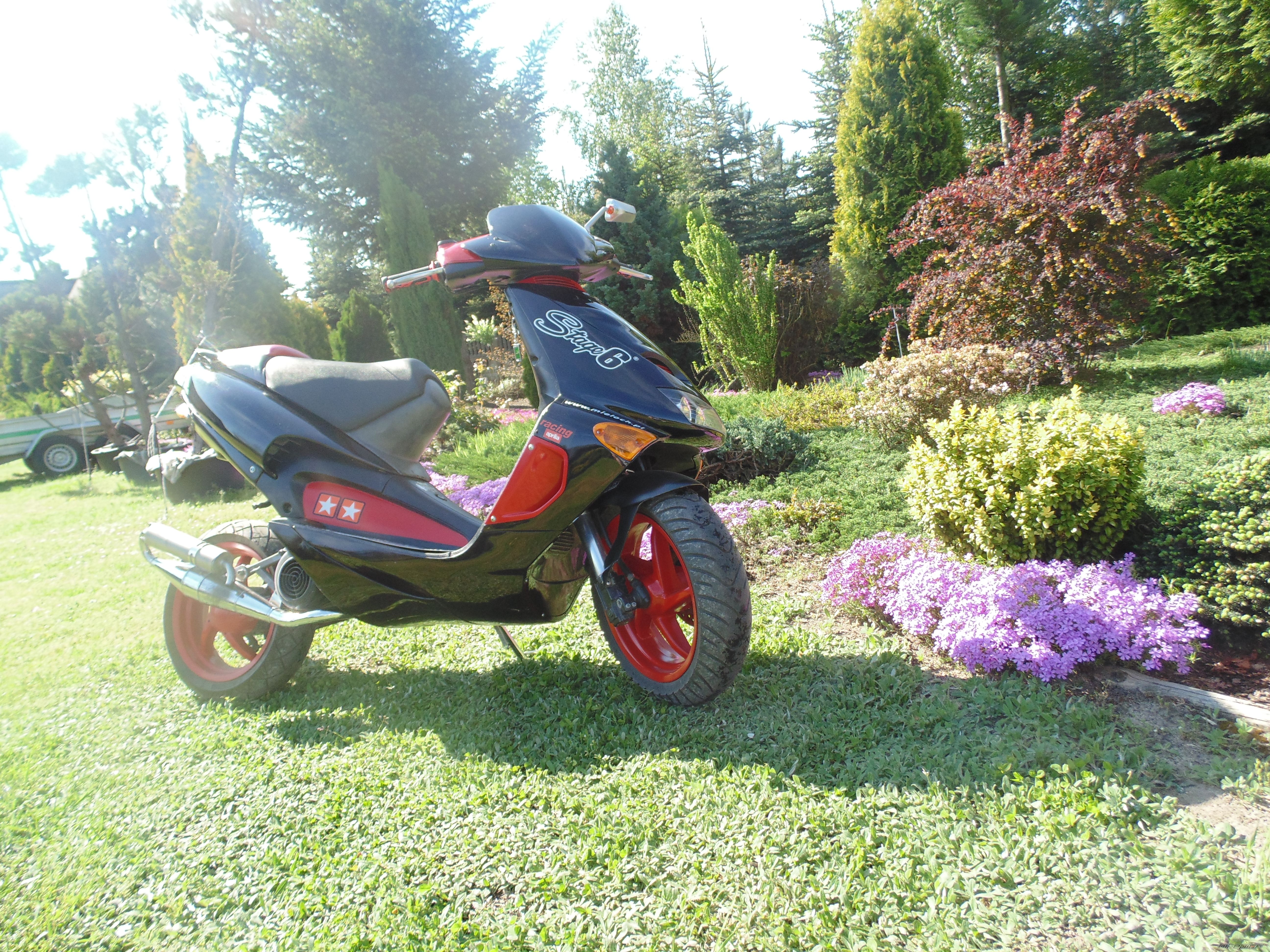 Photo 2556918