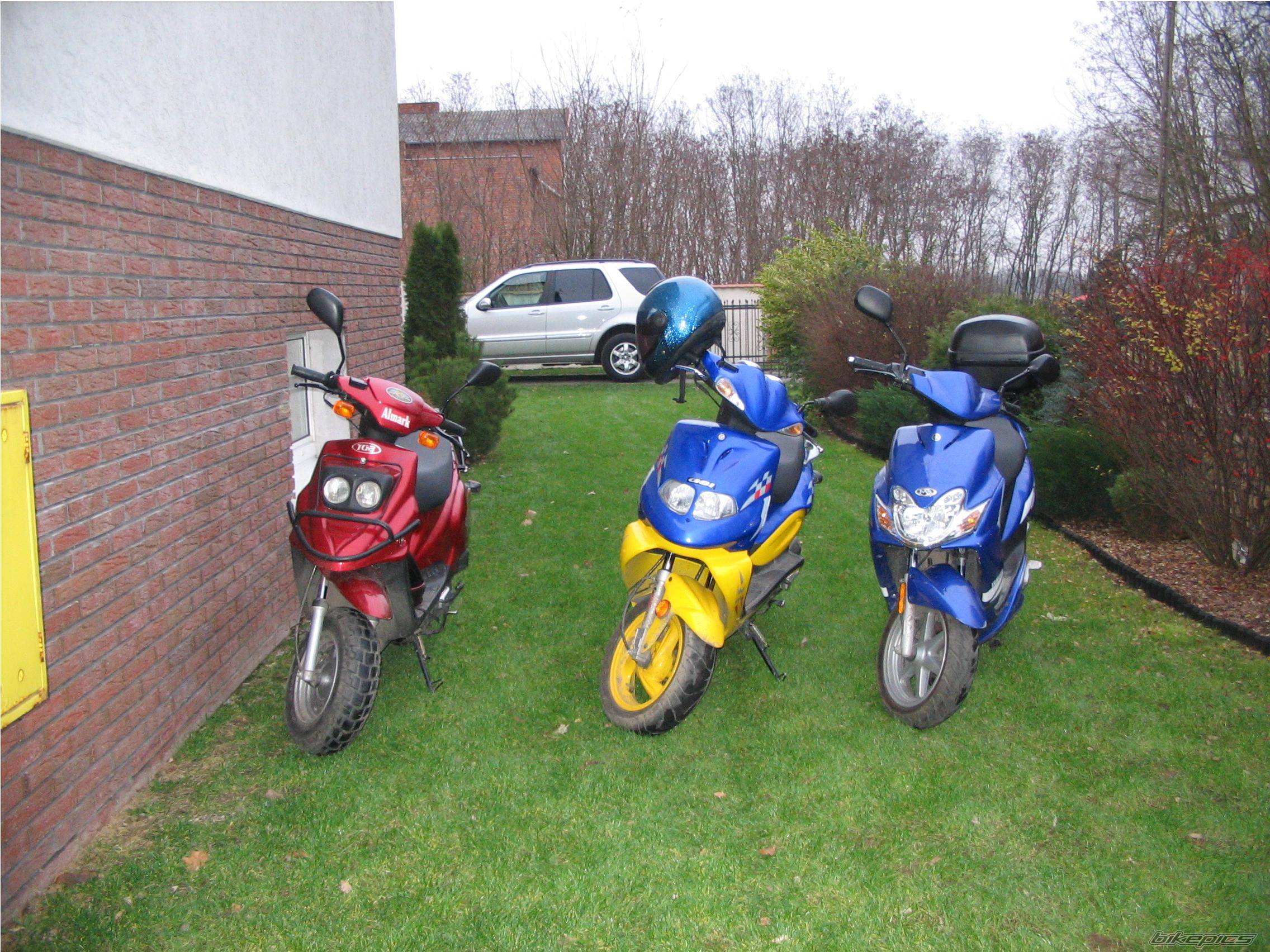 Photo 255697