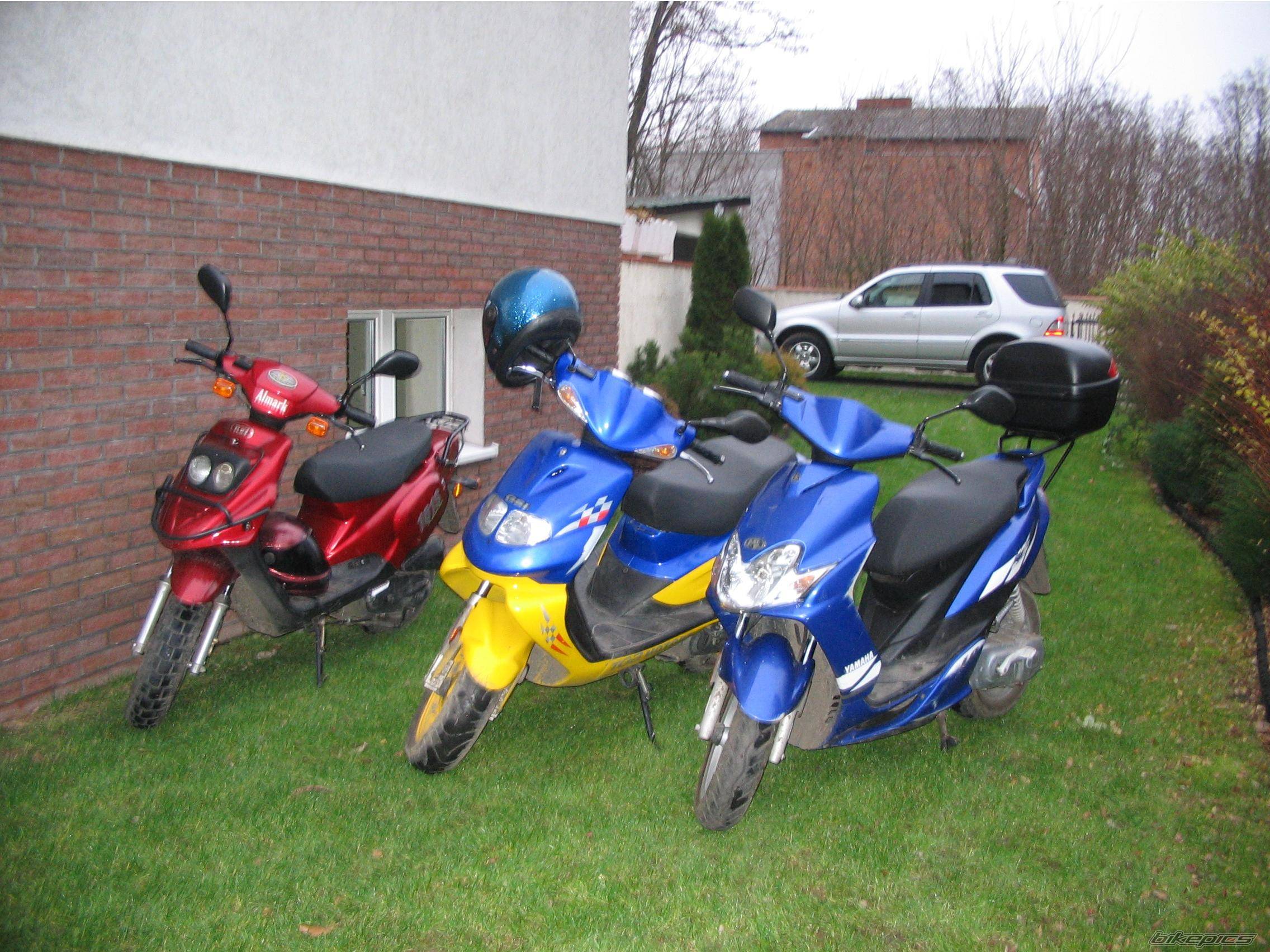 Photo 255699
