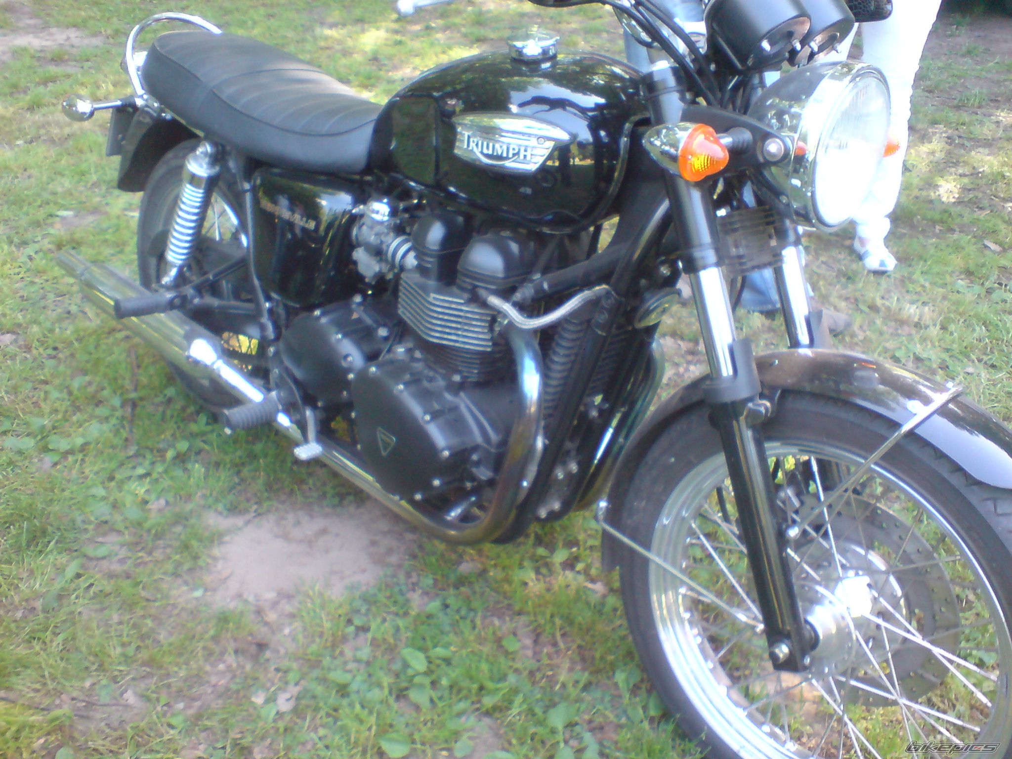 Photo 2557068