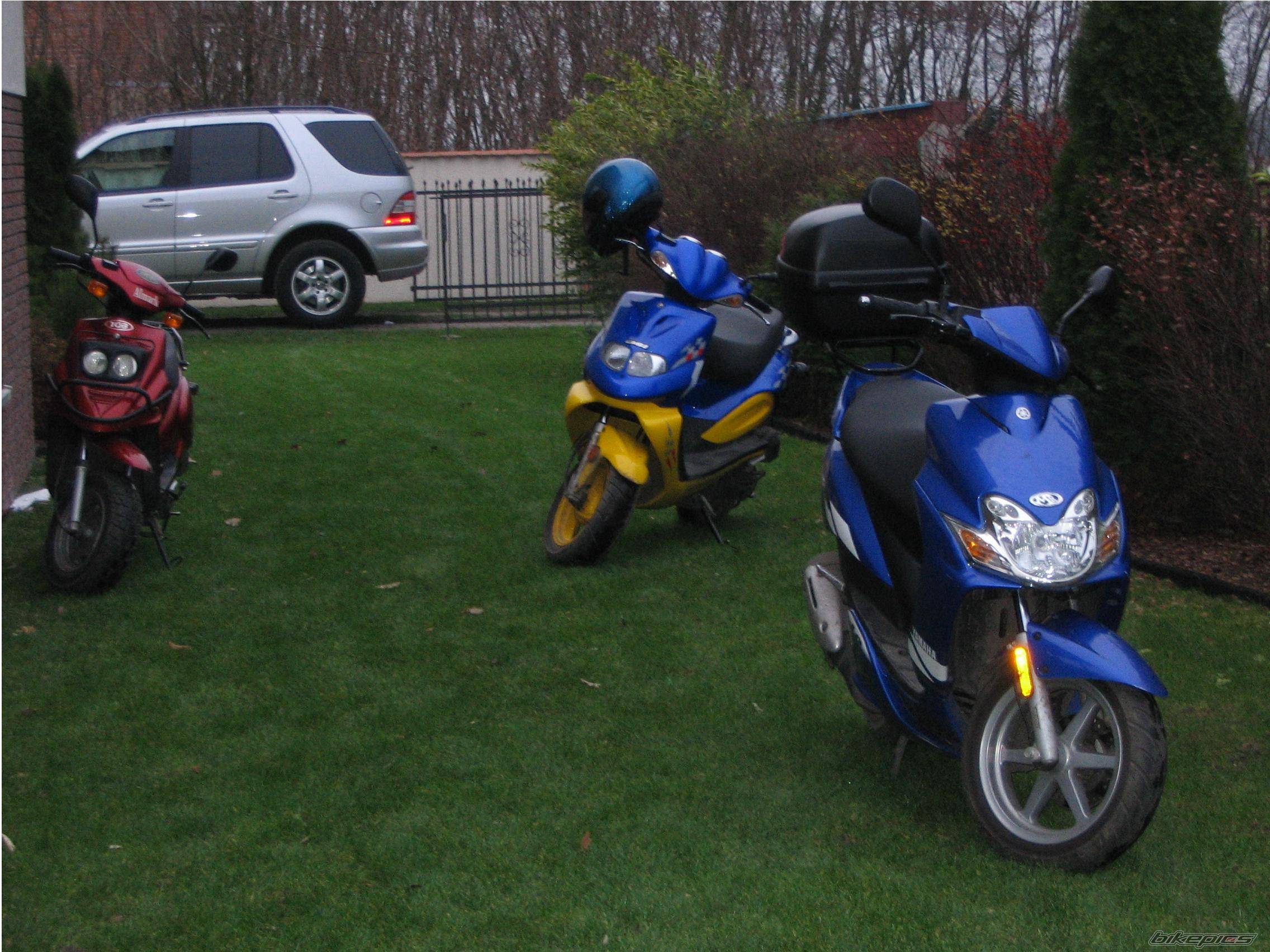 Photo 255710