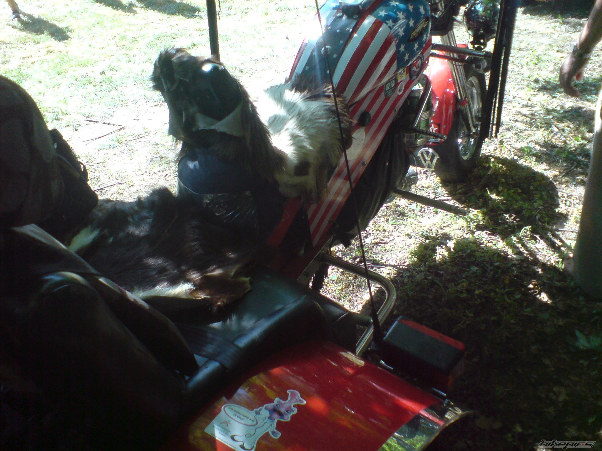 Photo 2557124