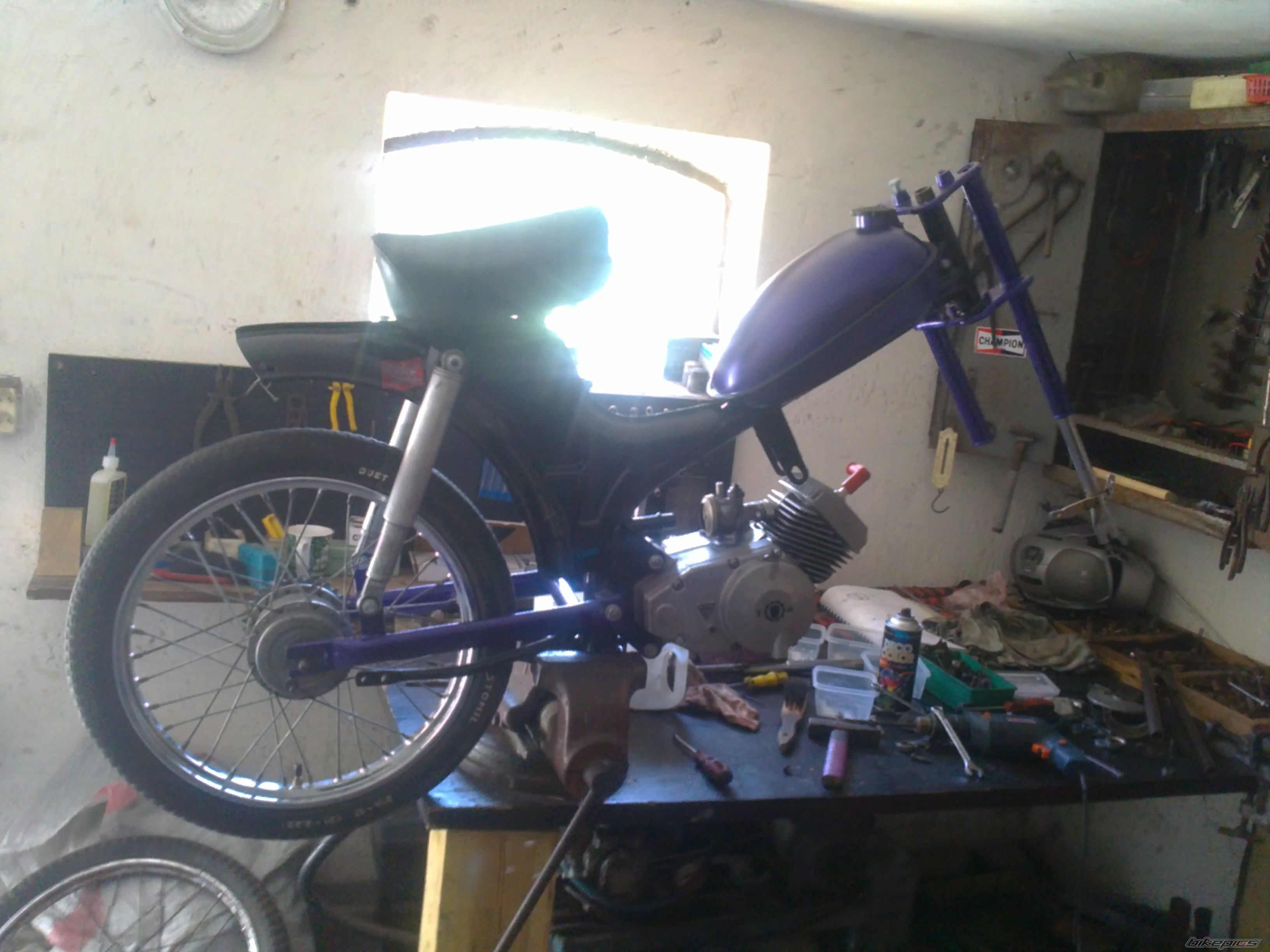 Photo 2557134