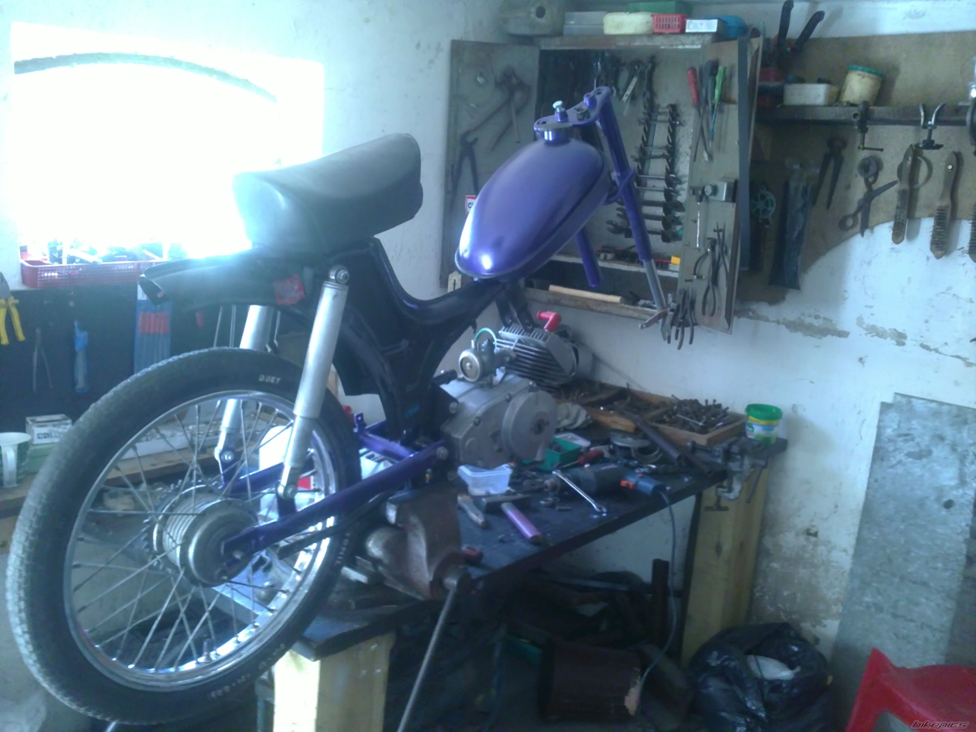 Photo 2557137
