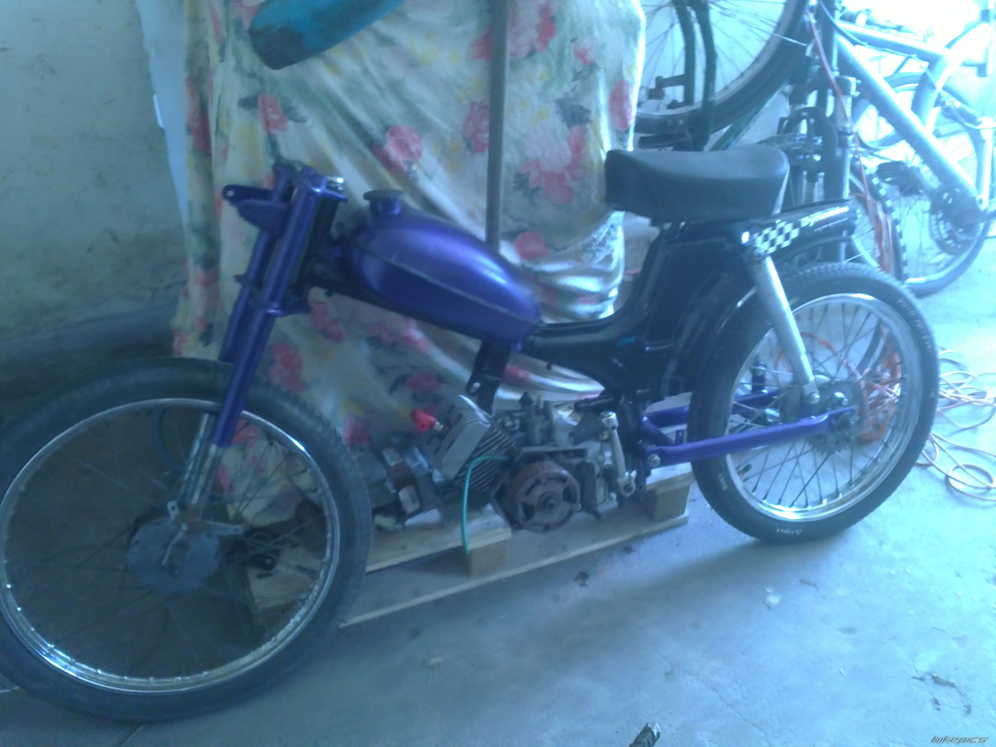 Photo 2557144