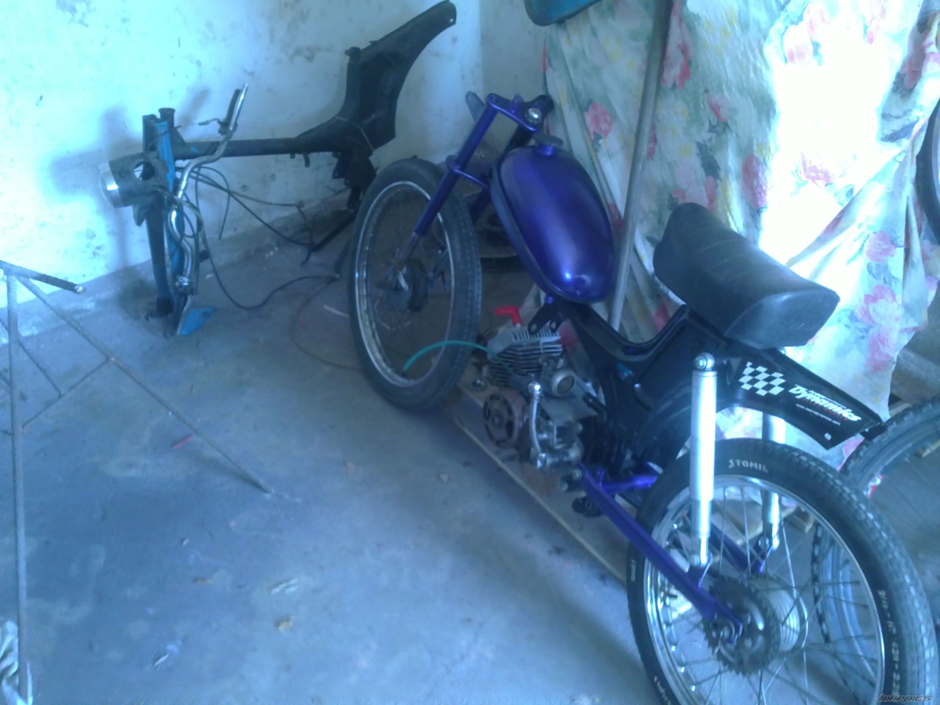 Photo 2557145