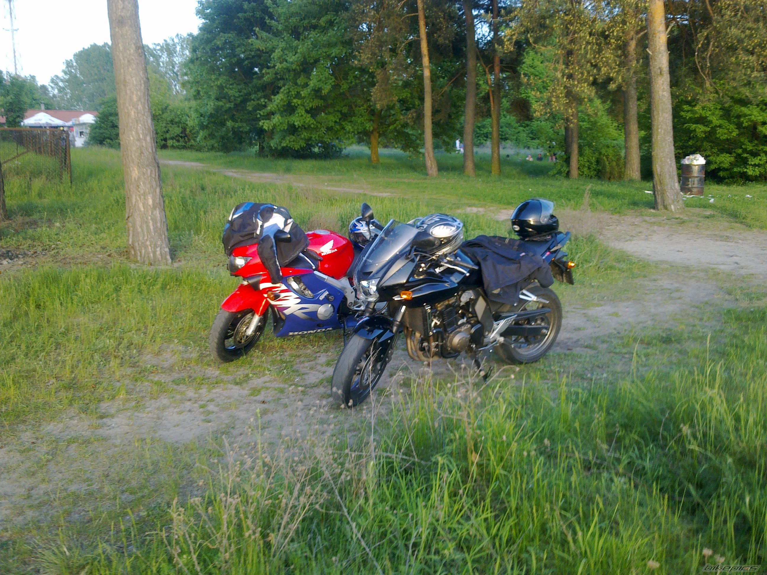 Photo 2557157