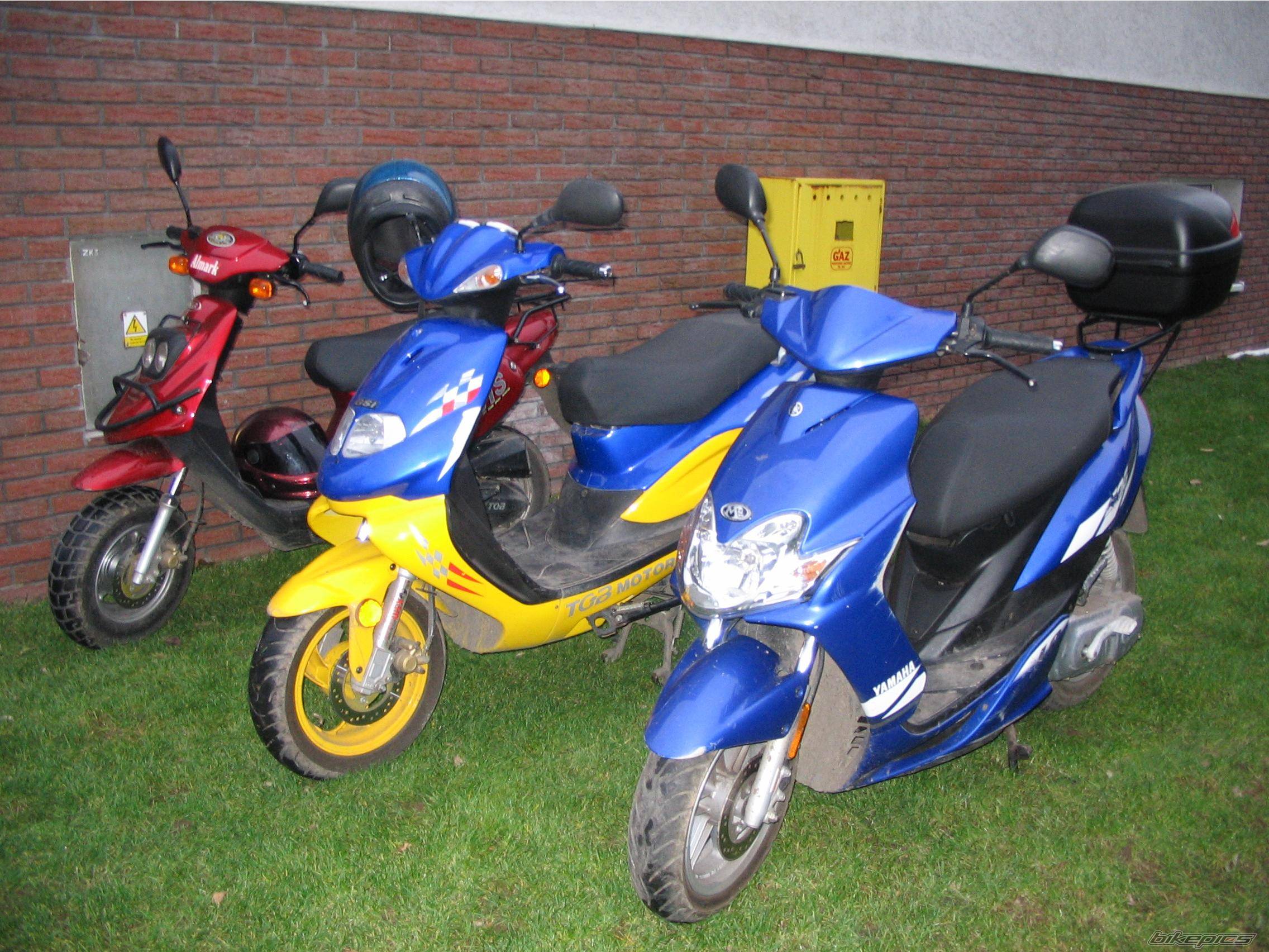Photo 255716