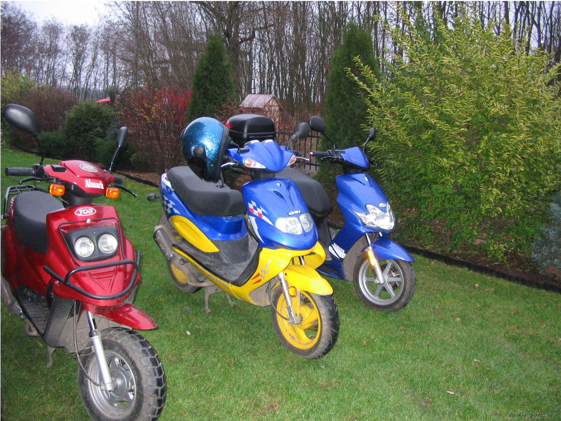 Photo 255720