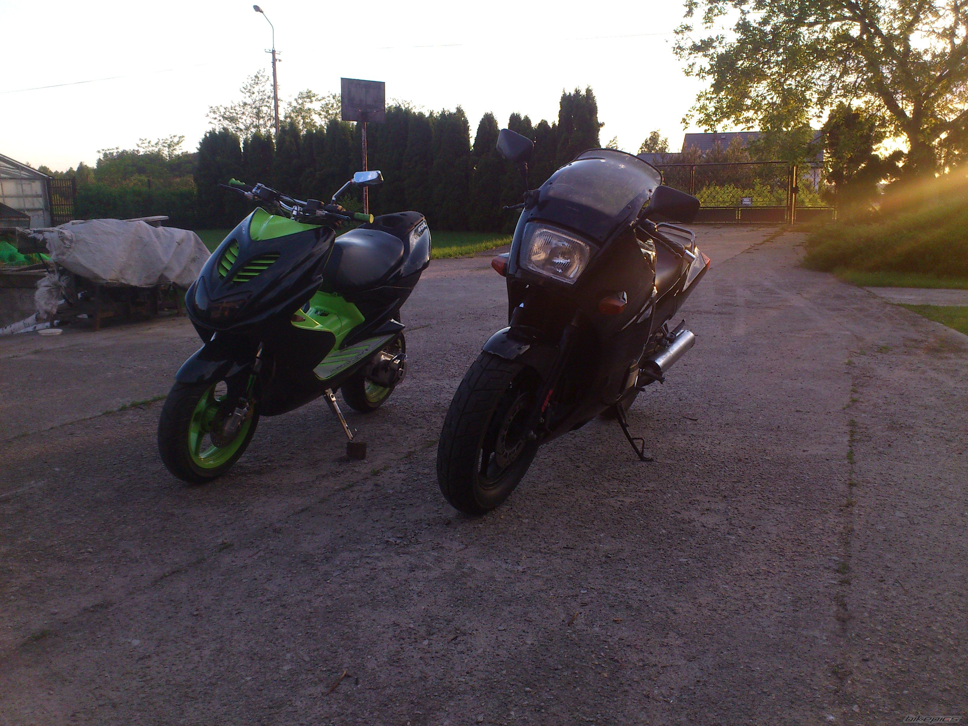 Photo 2557214