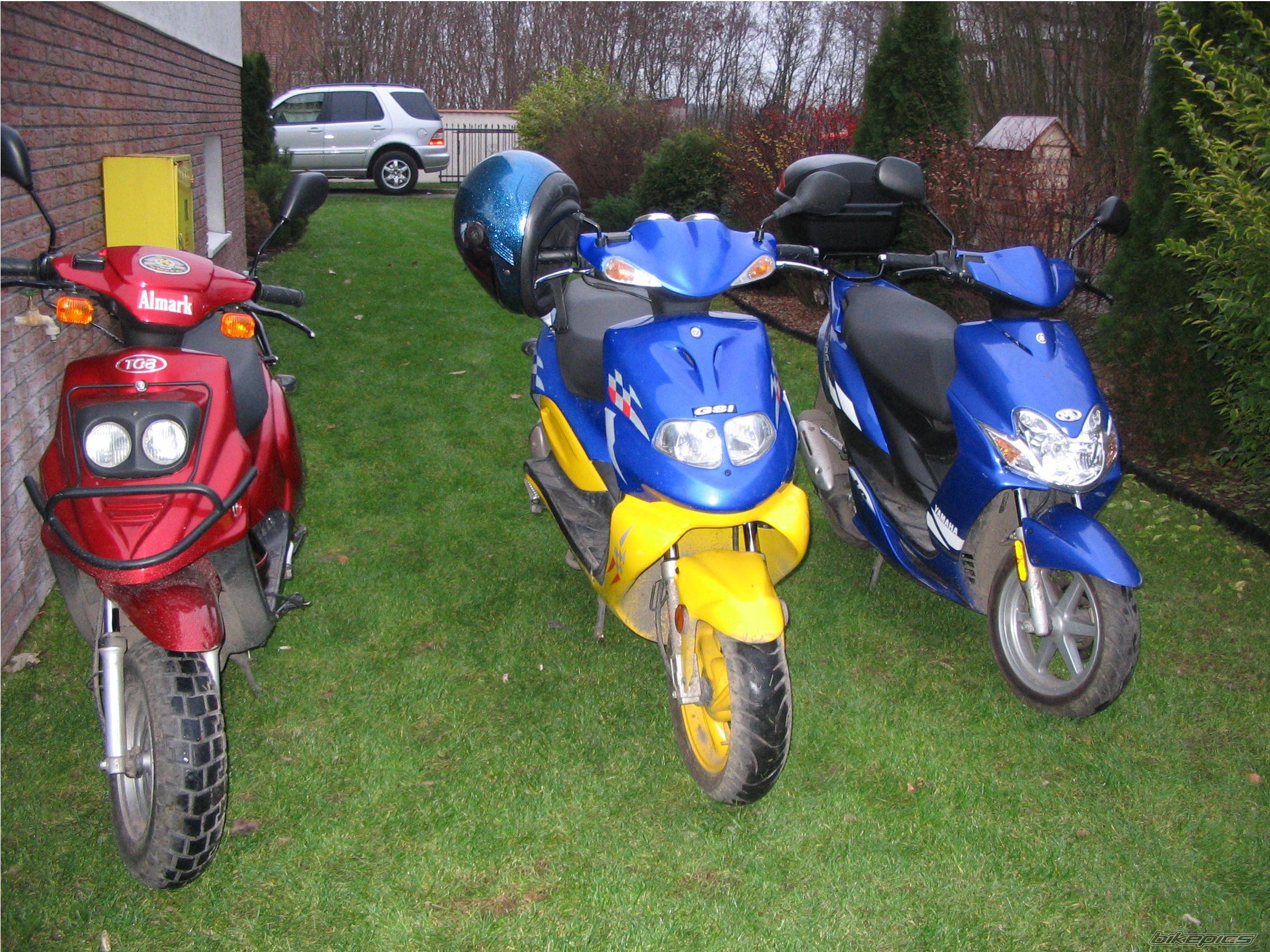 Photo 255722