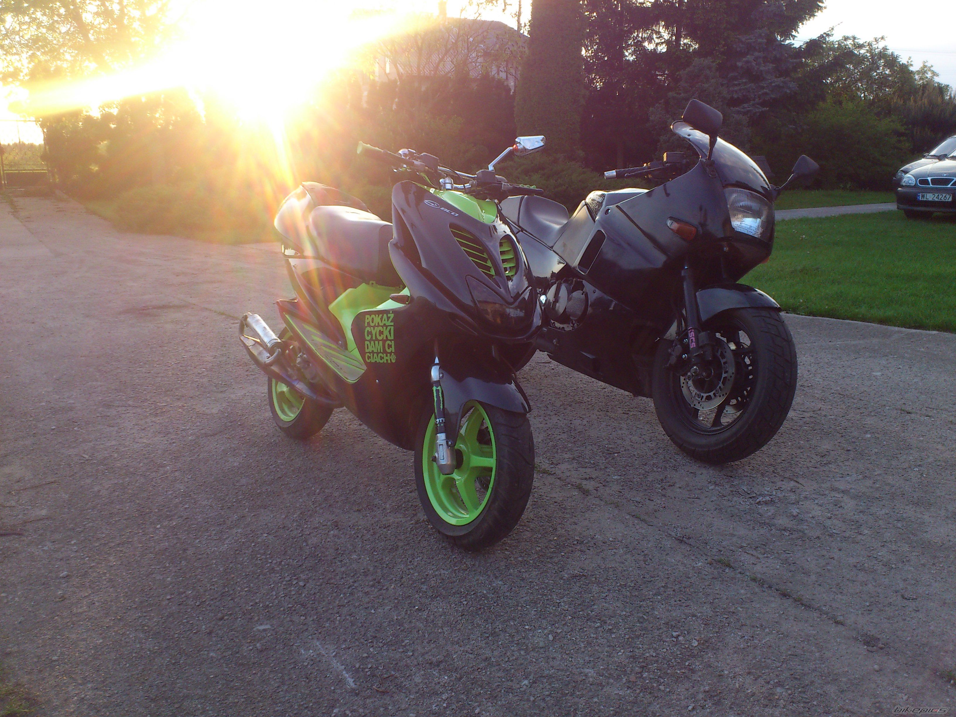 Photo 2557220