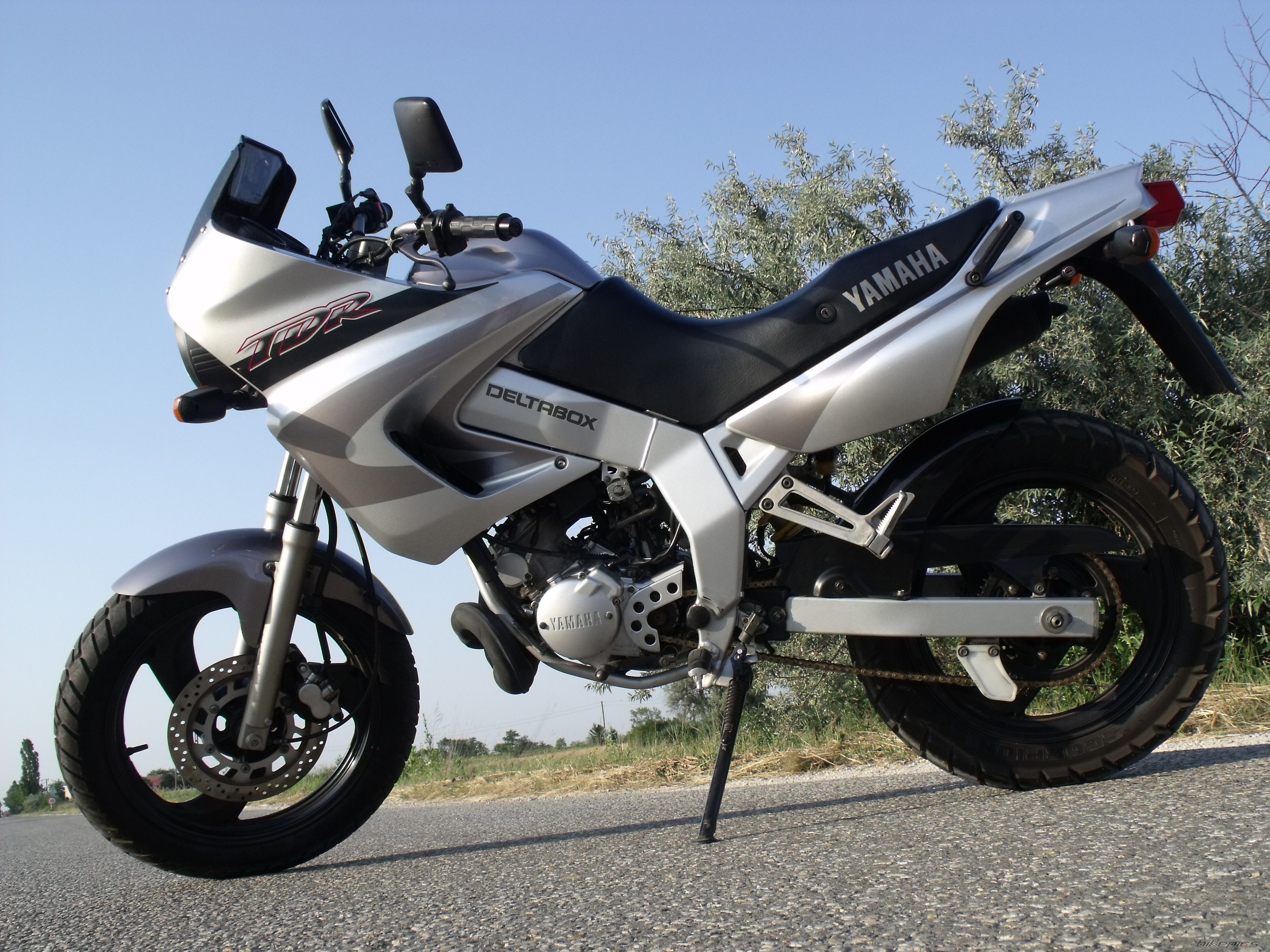 Photo 2557227