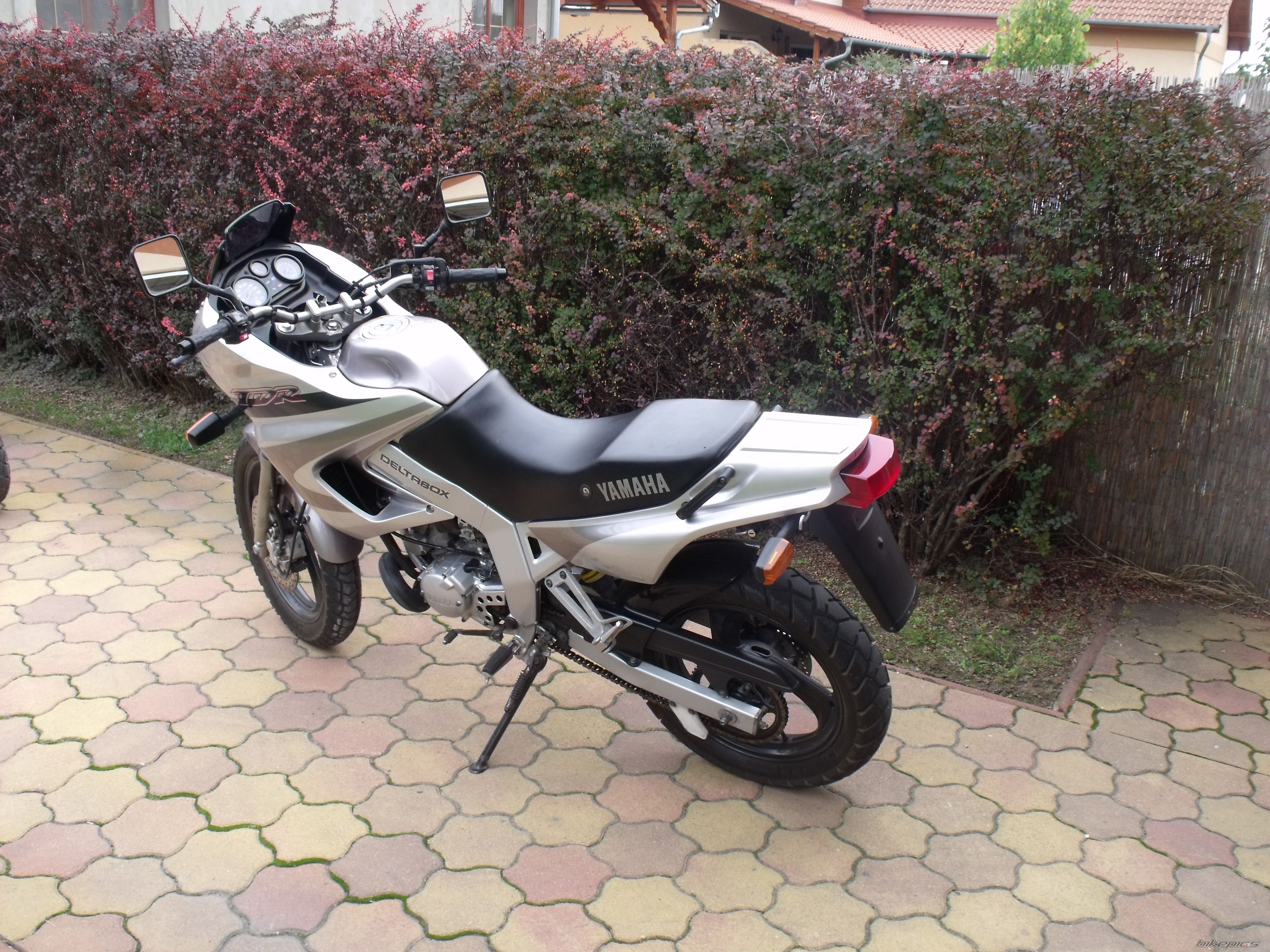Photo 2557235