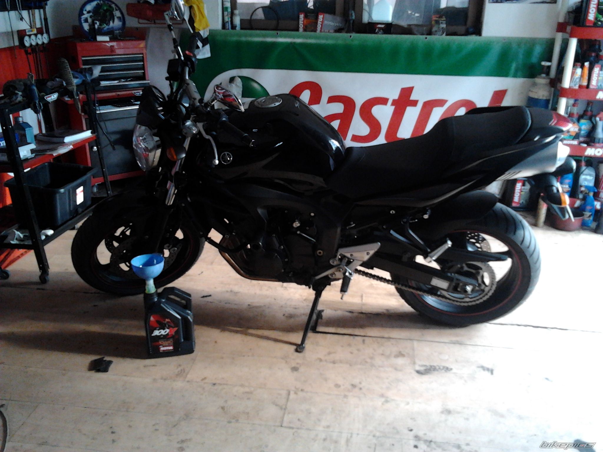 Photo 2557388
