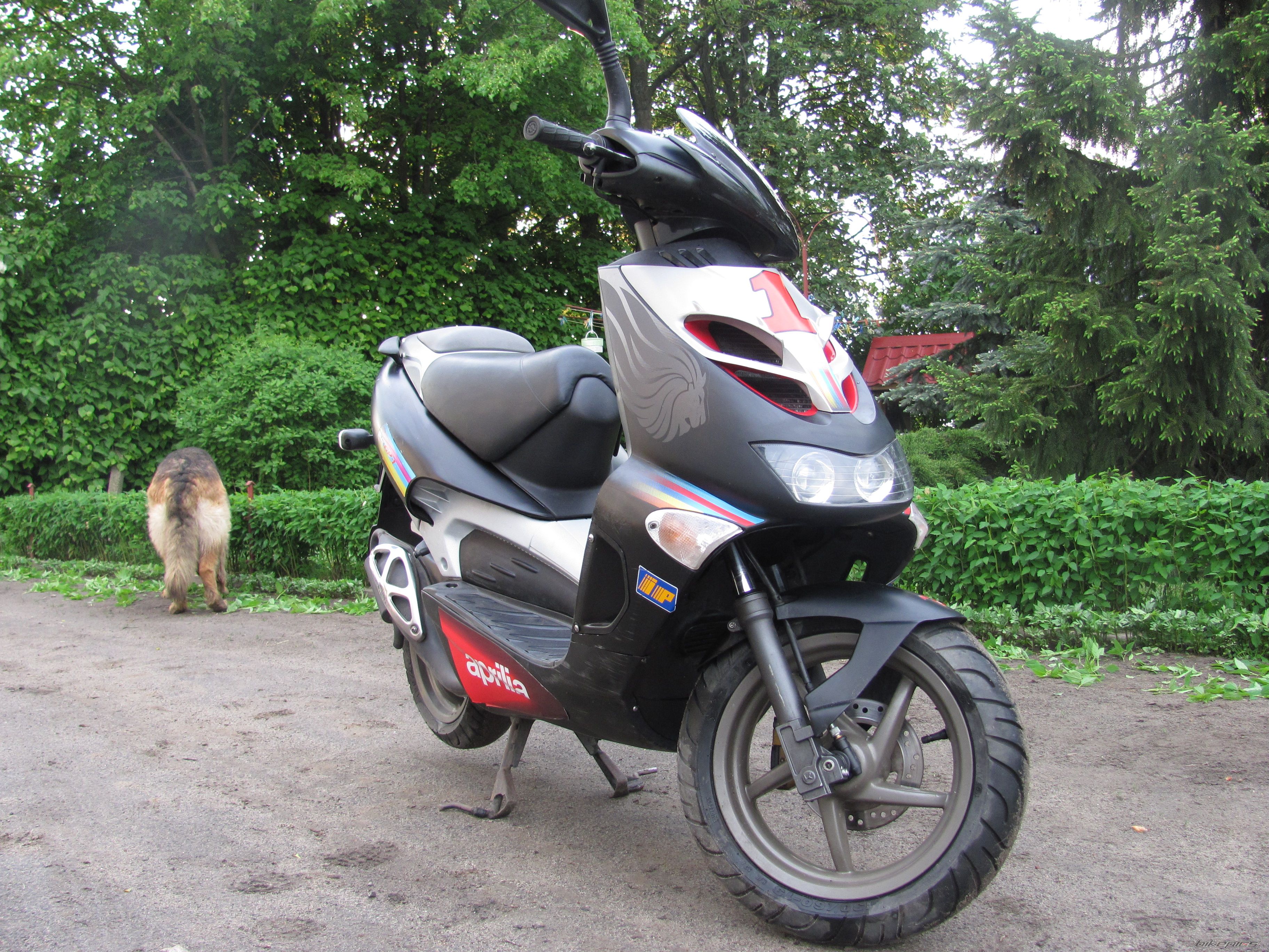 Photo 2557567