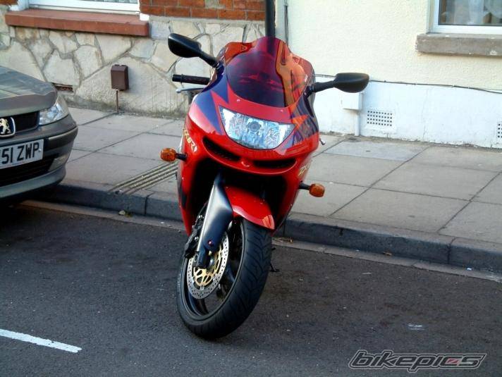 Photo 255764