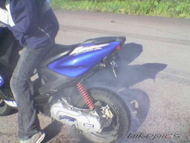 Photo 255769