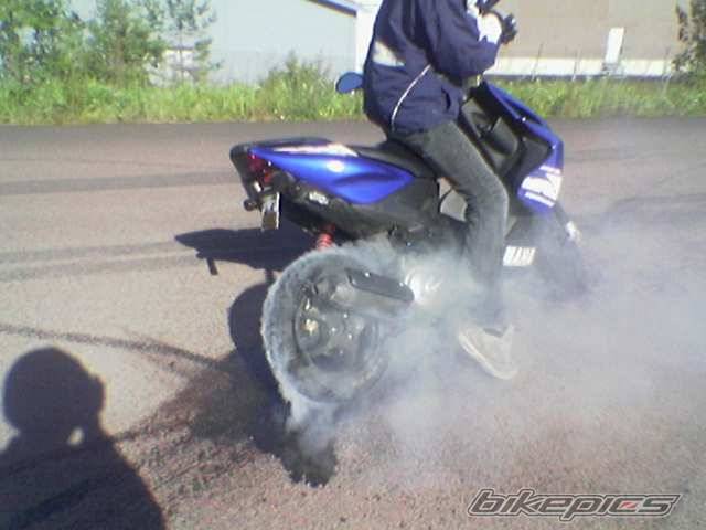 Photo 255770