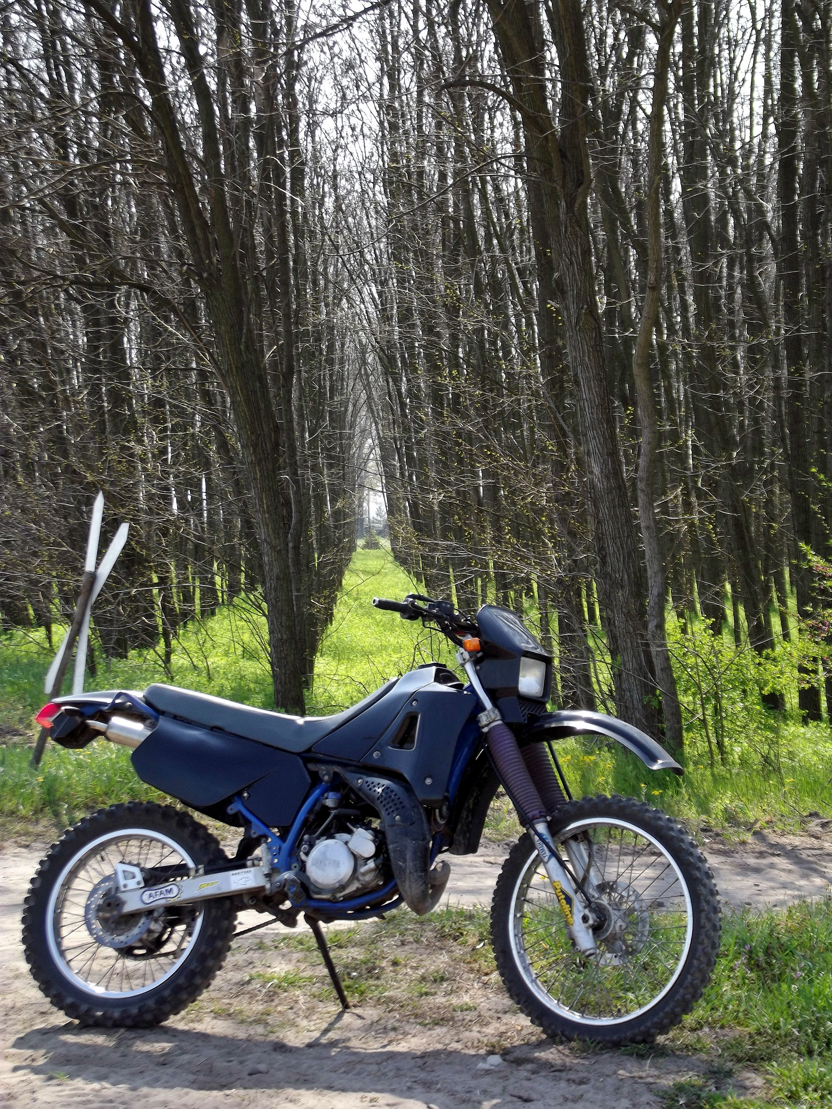 Photo 2557837