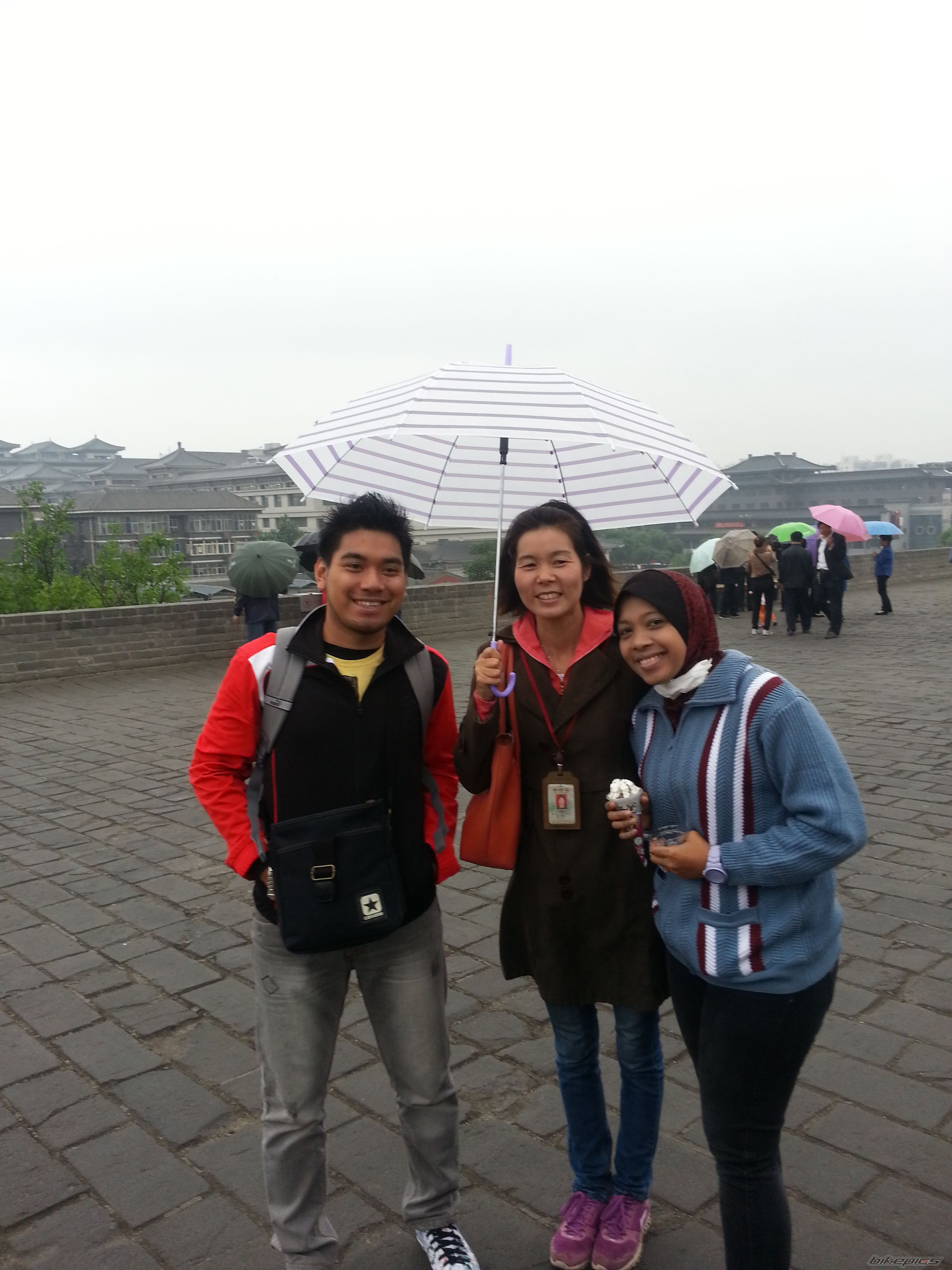 Photo 2557858