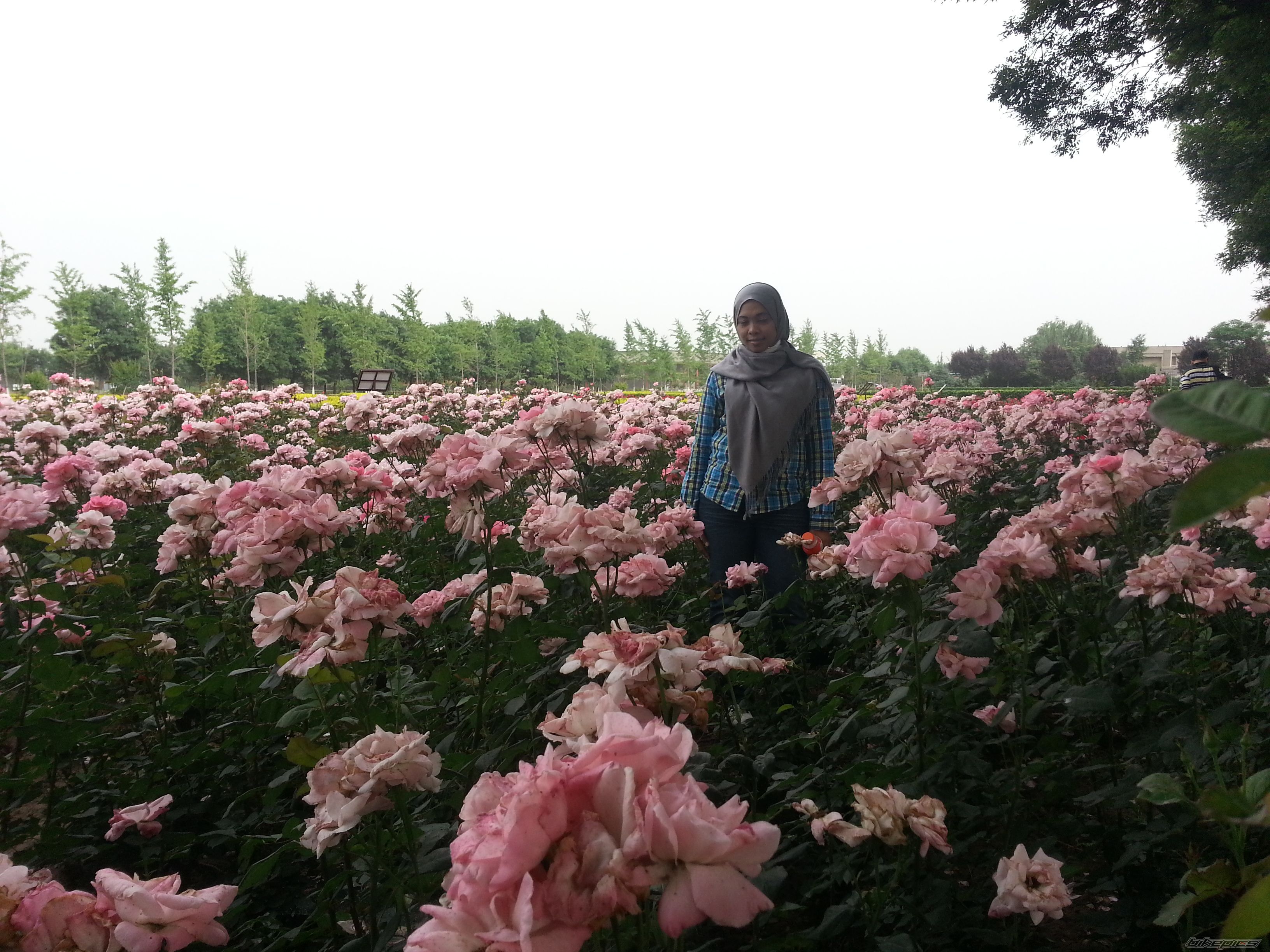 Photo 2557859