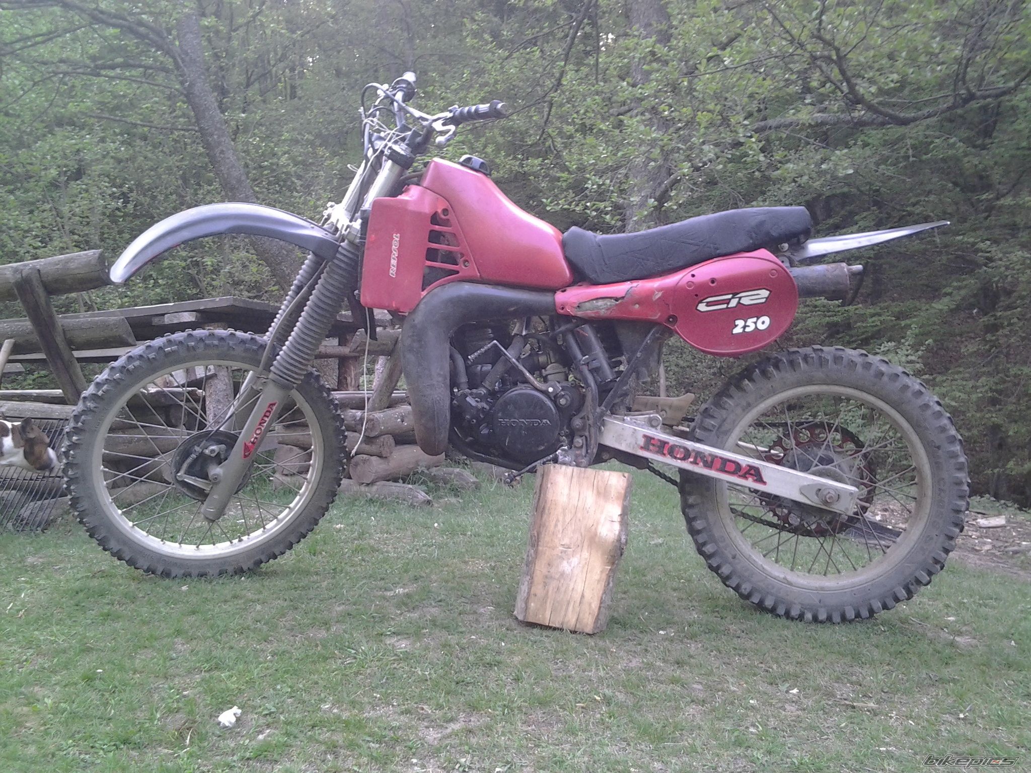 Photo 2557879