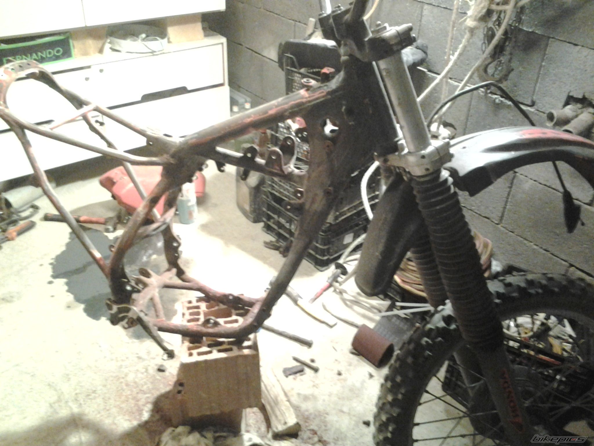 Photo 2557880