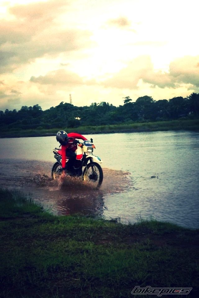 Photo 2557897