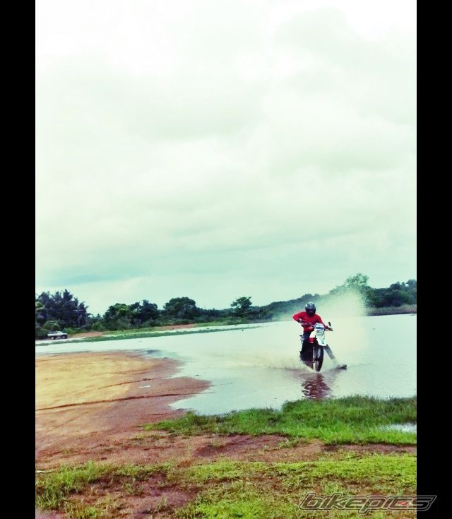 Photo 2557902