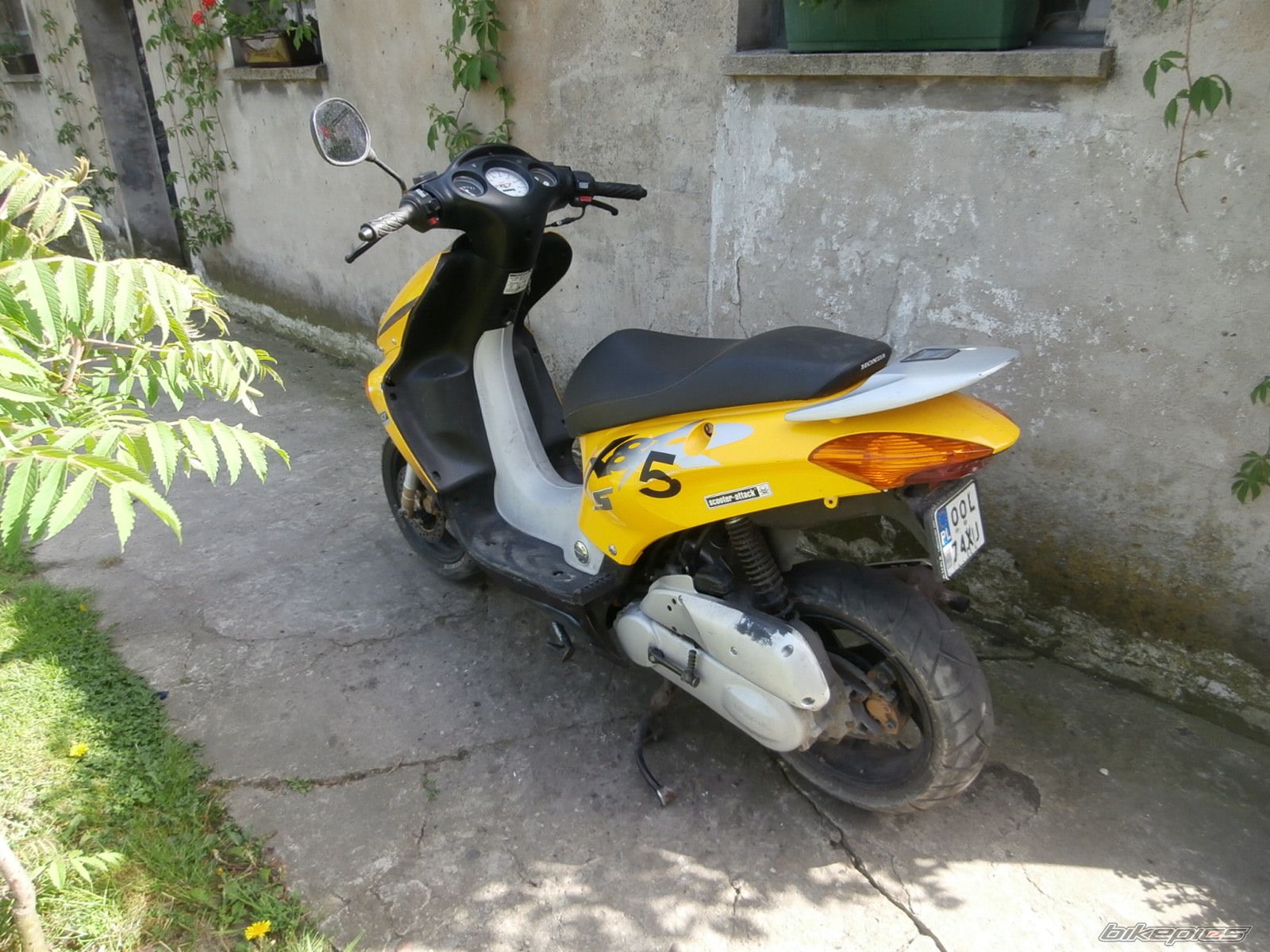 Photo 2557905