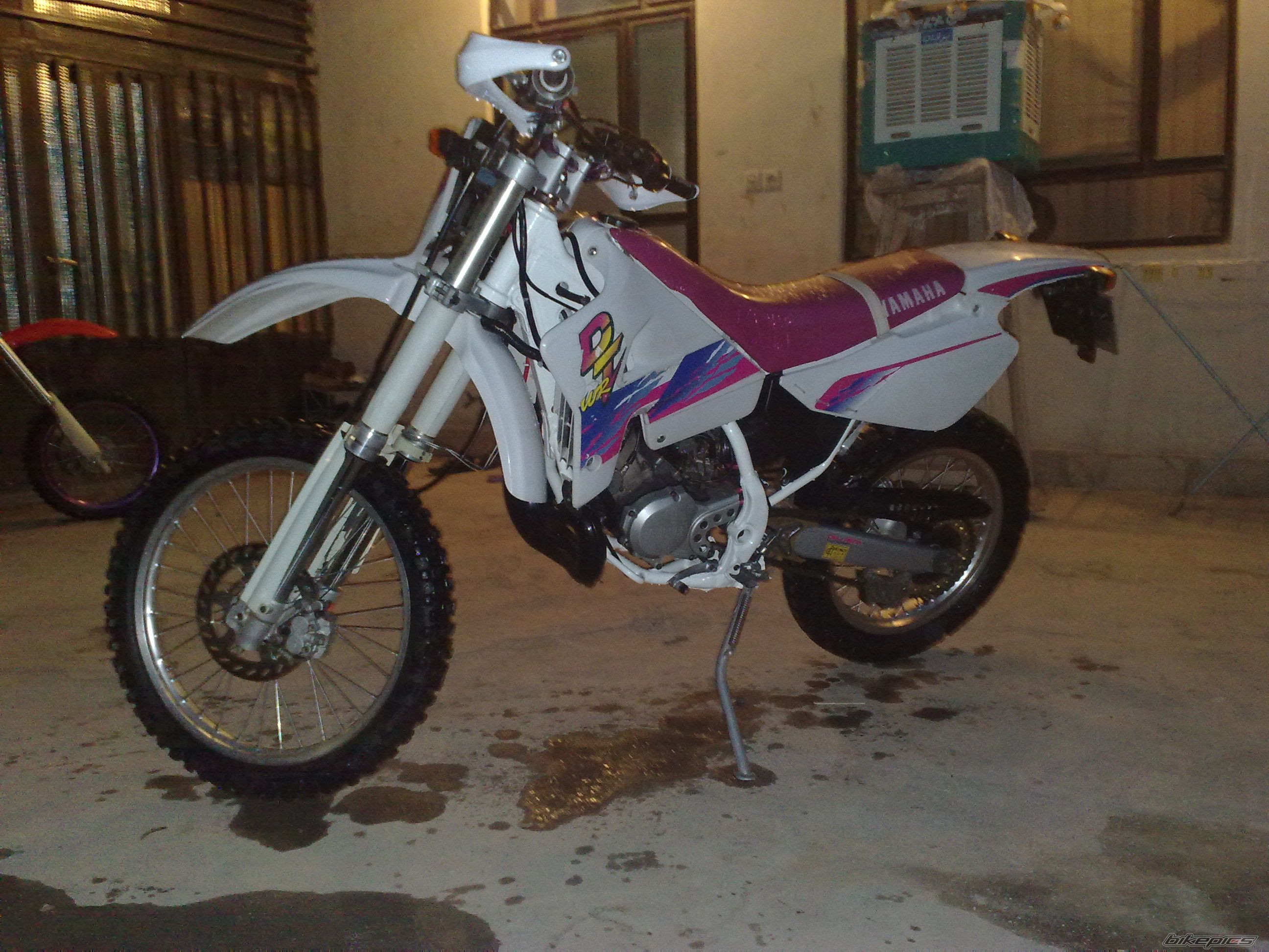 Photo 2557991