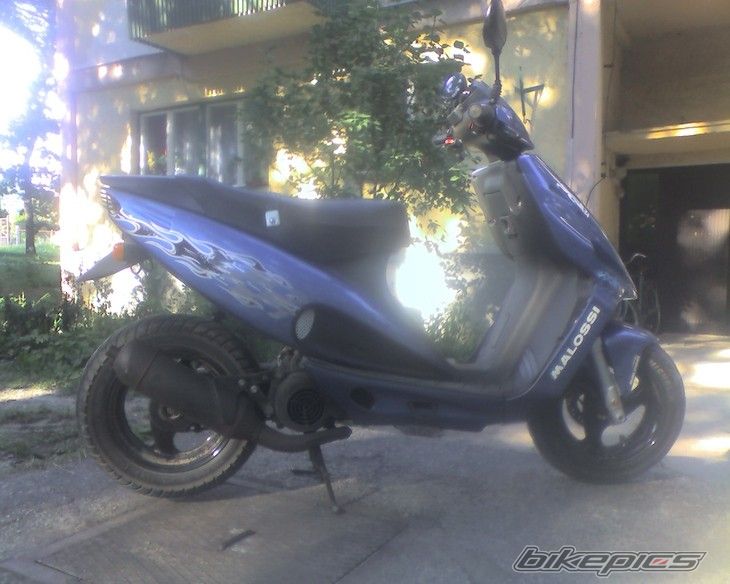 Photo 2558113