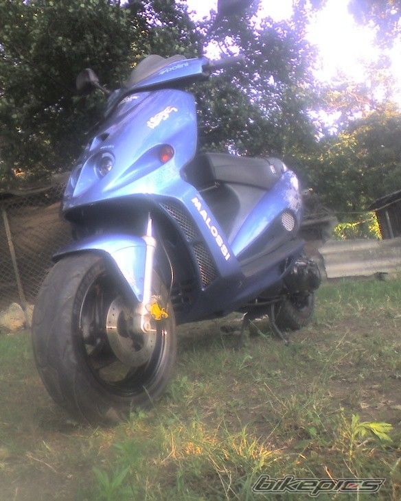 Photo 2558118