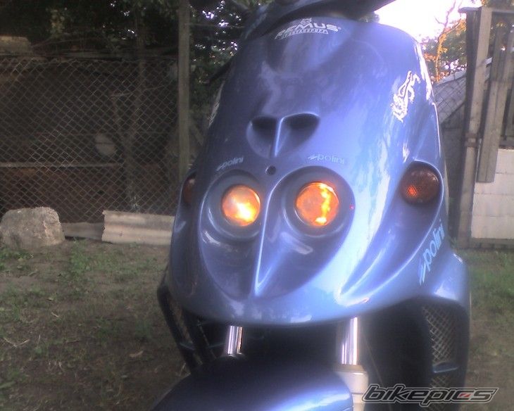 Photo 2558120