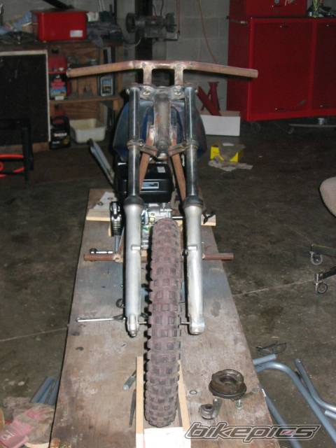 Photo 255814