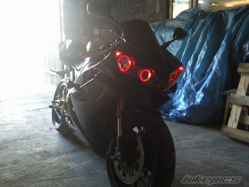 Photo 2558193