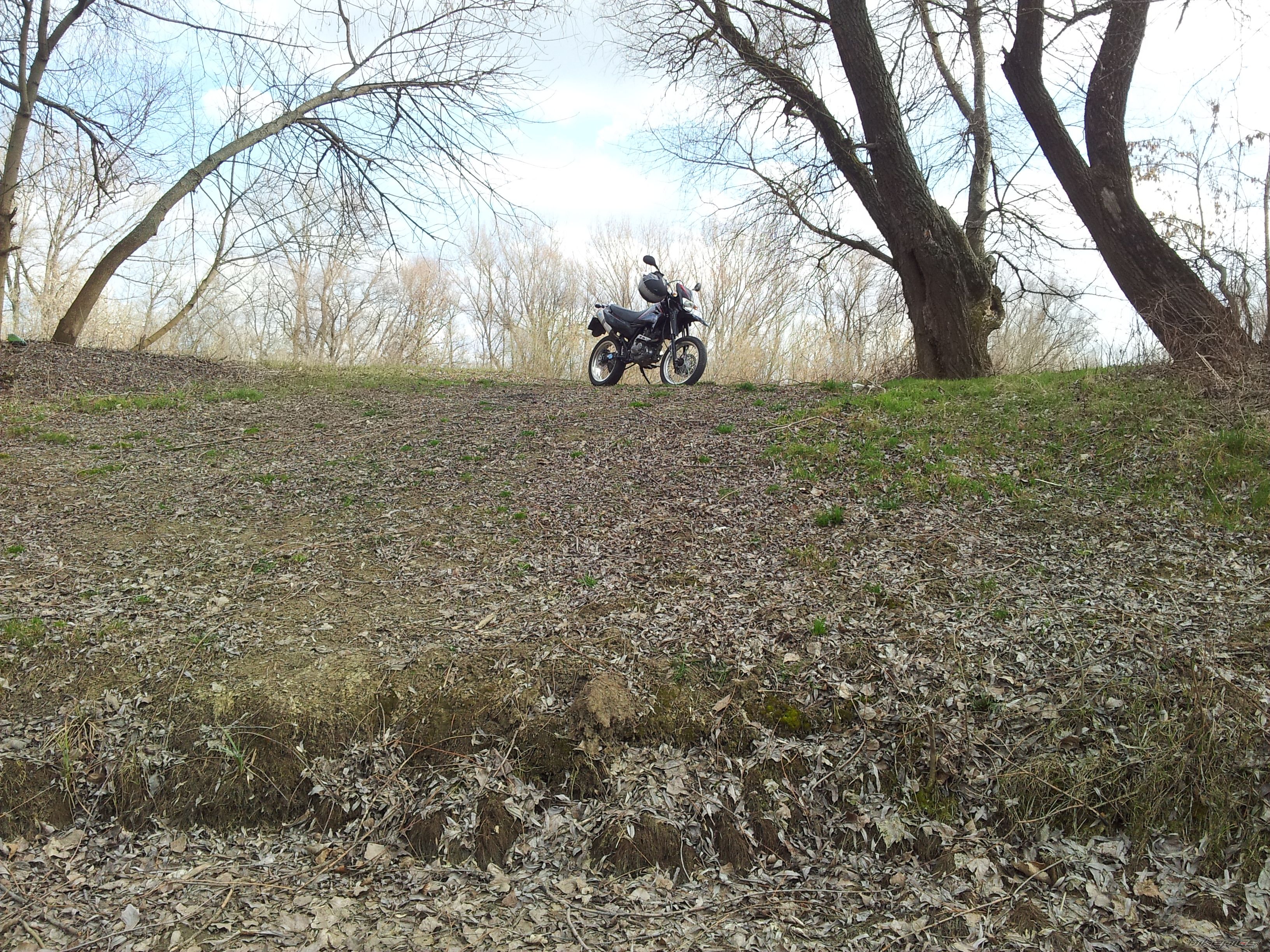 Photo 2558322