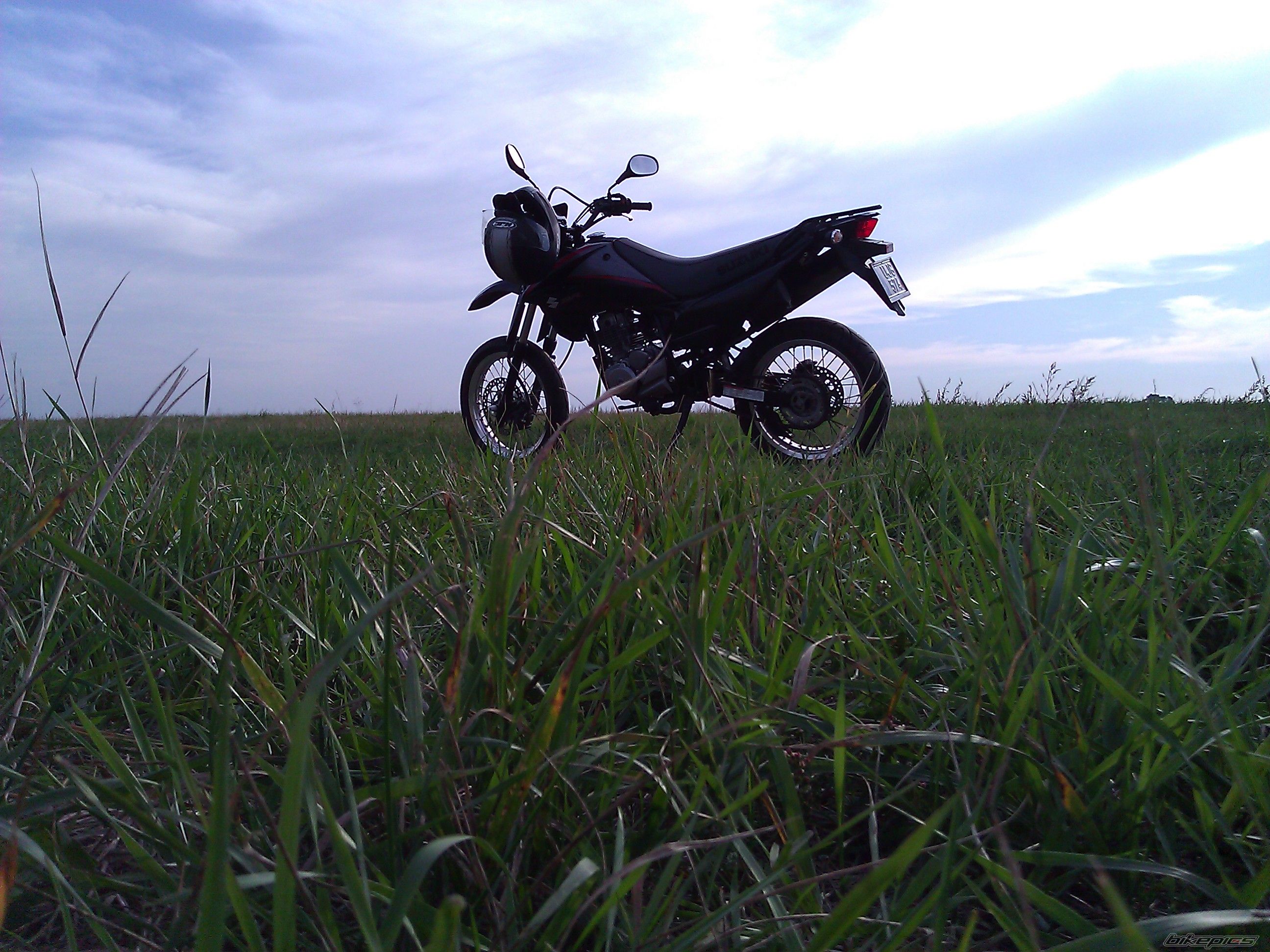 Photo 2558324