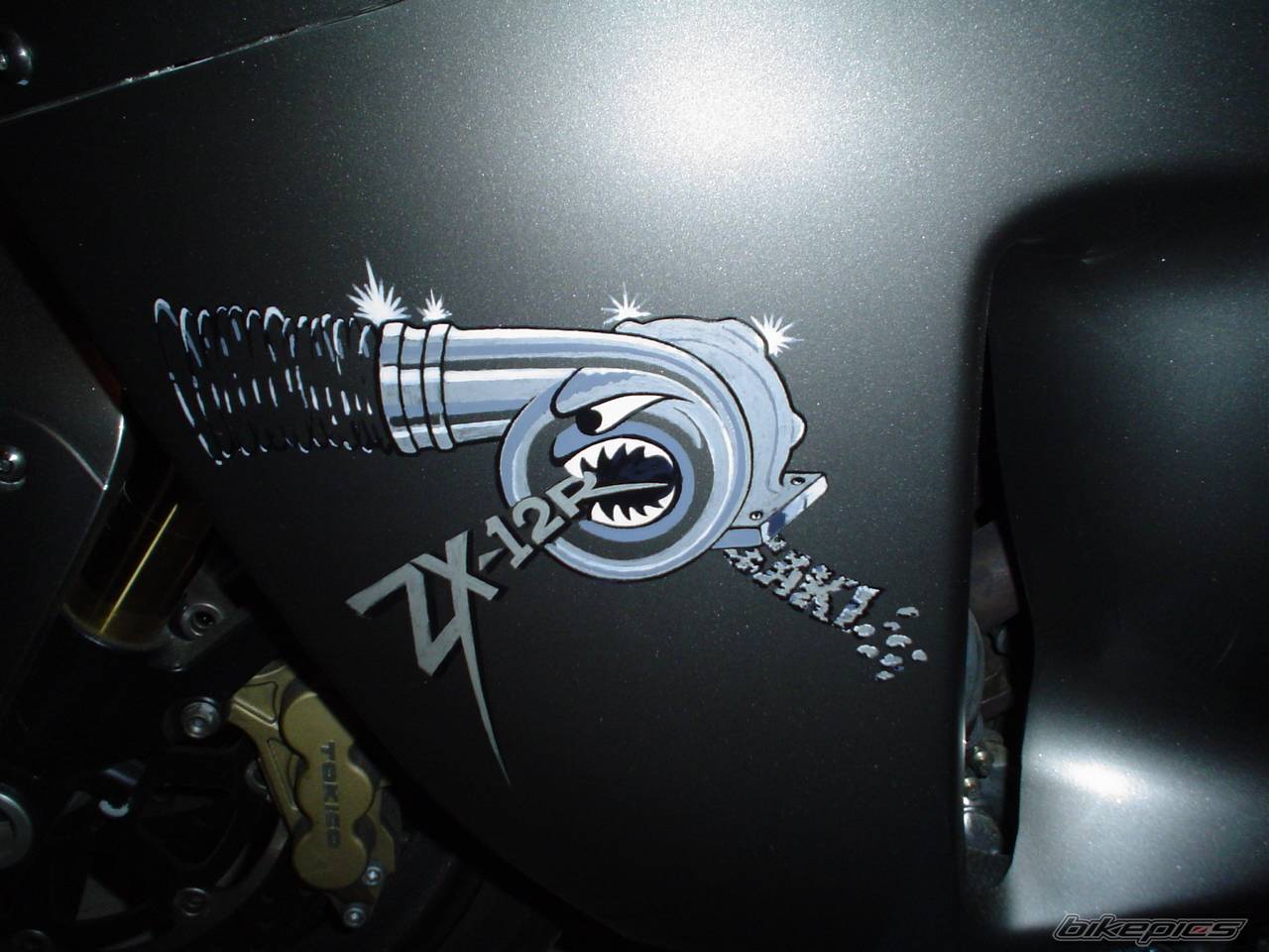 Bike Photo 255839
