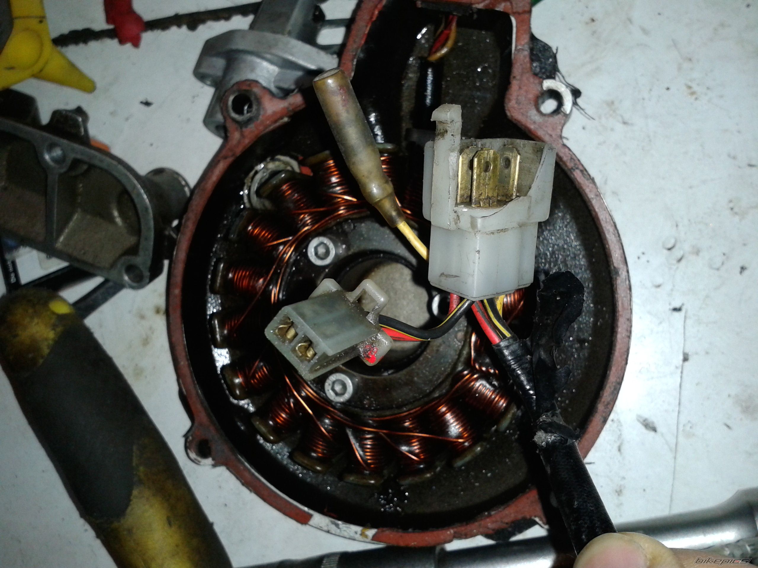 Photo 2558447