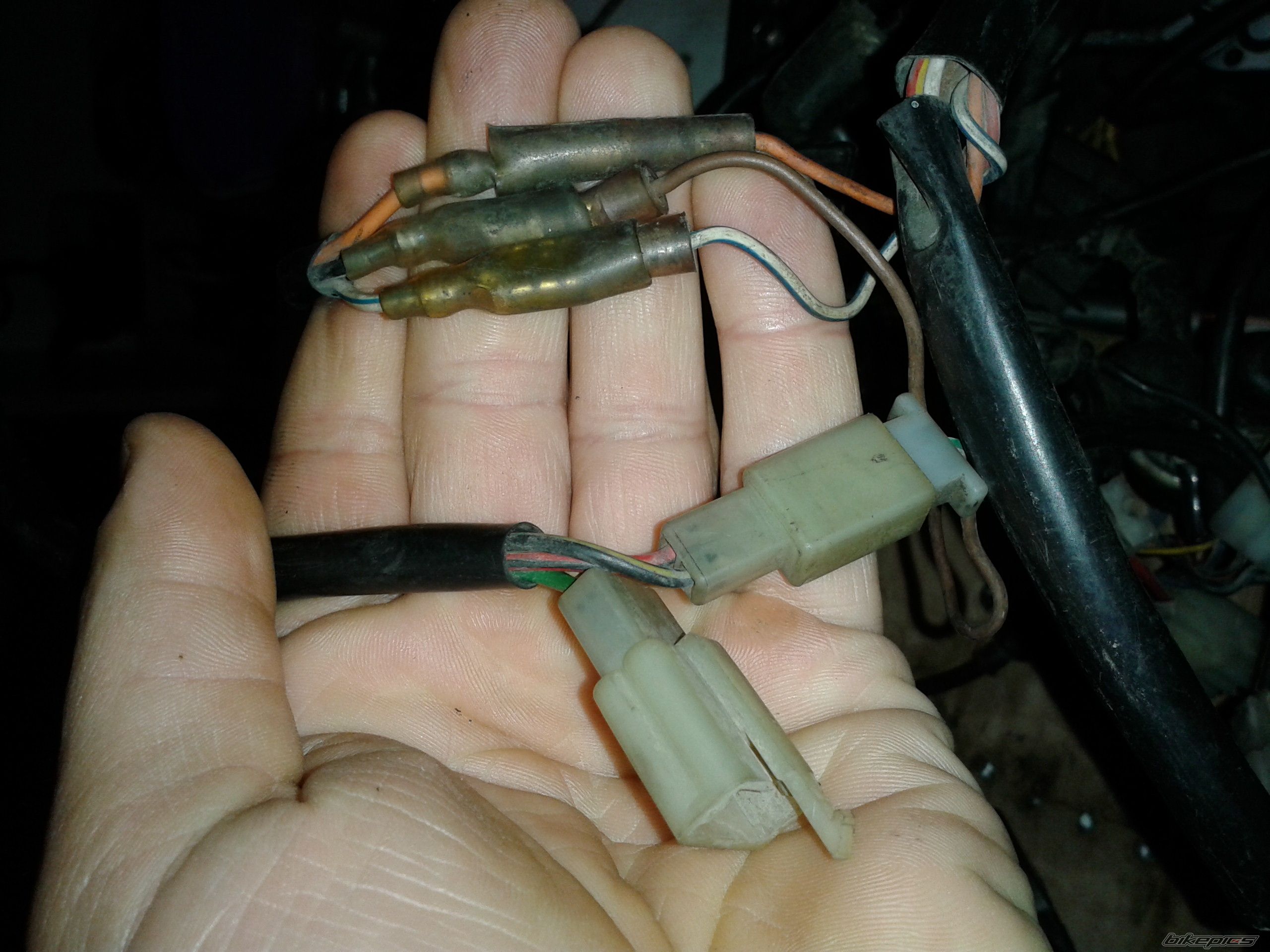 Photo 2558449