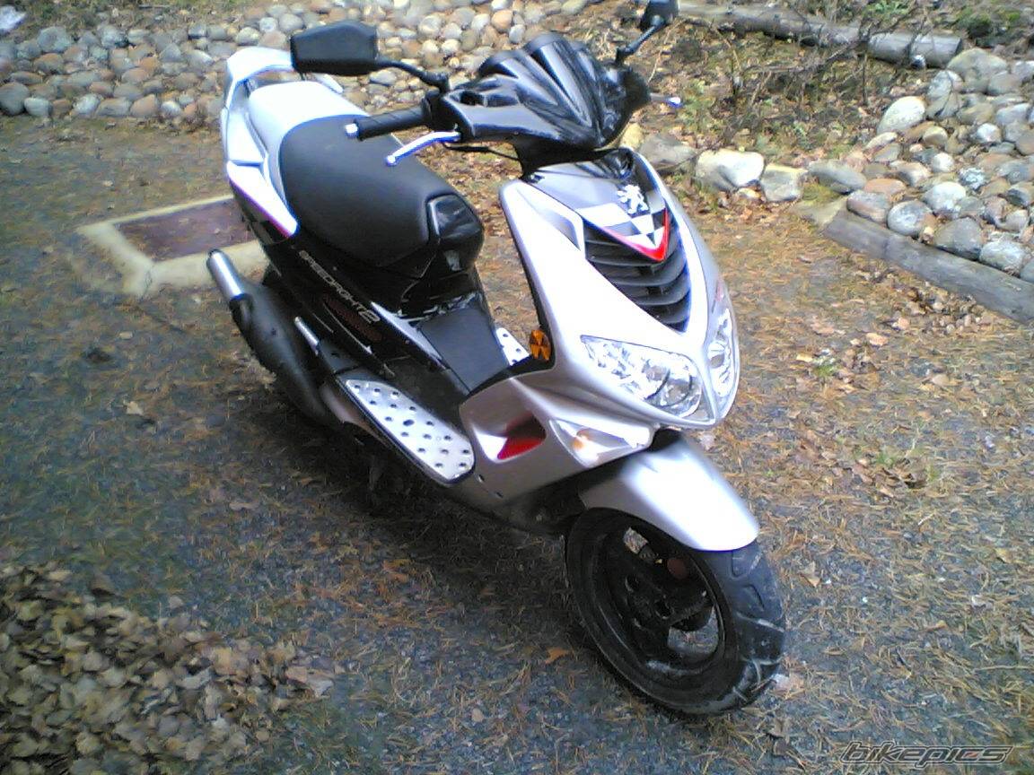 Photo 255846
