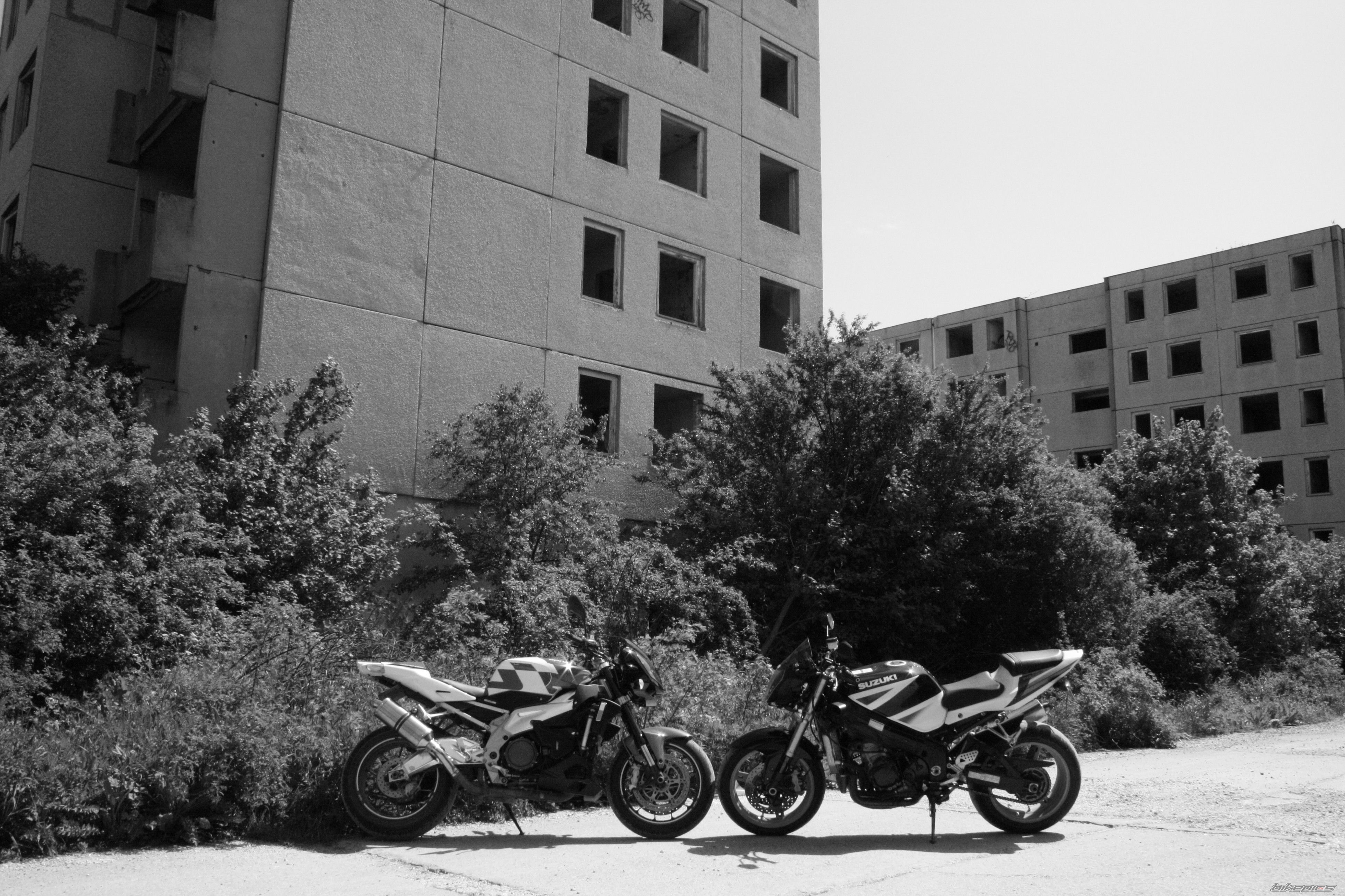 Photo 2558466