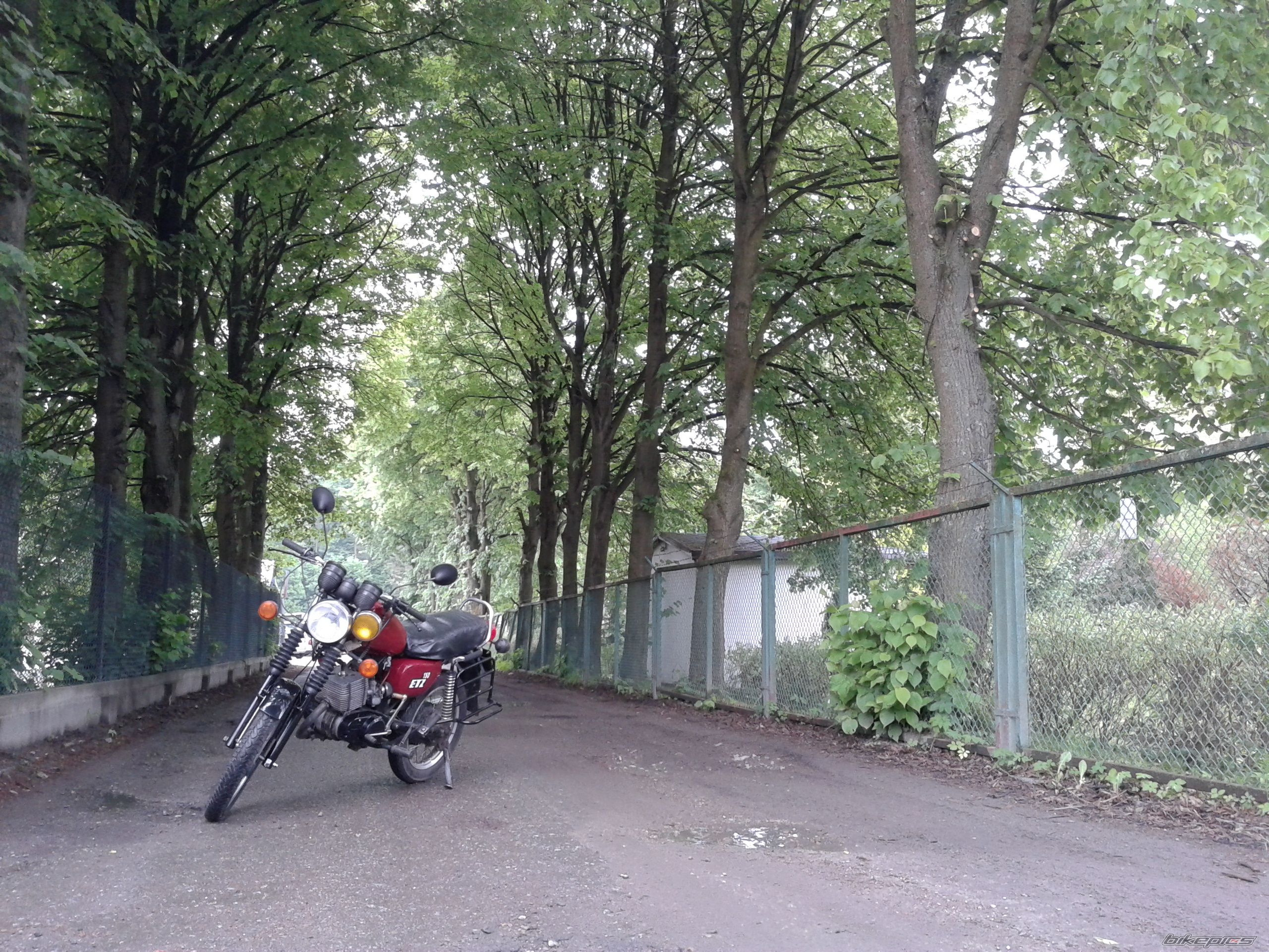 Photo 2558481