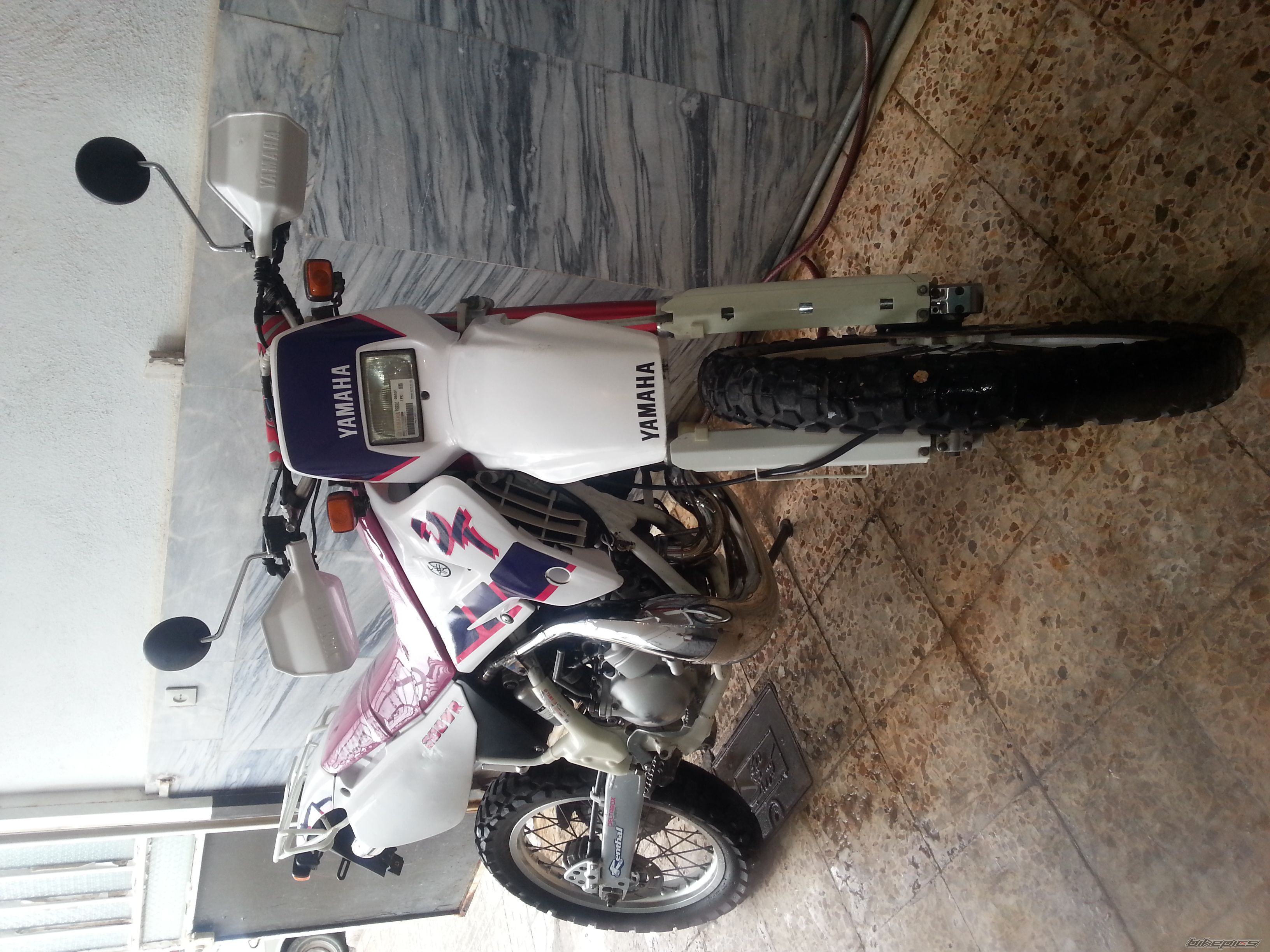 Photo 2558502