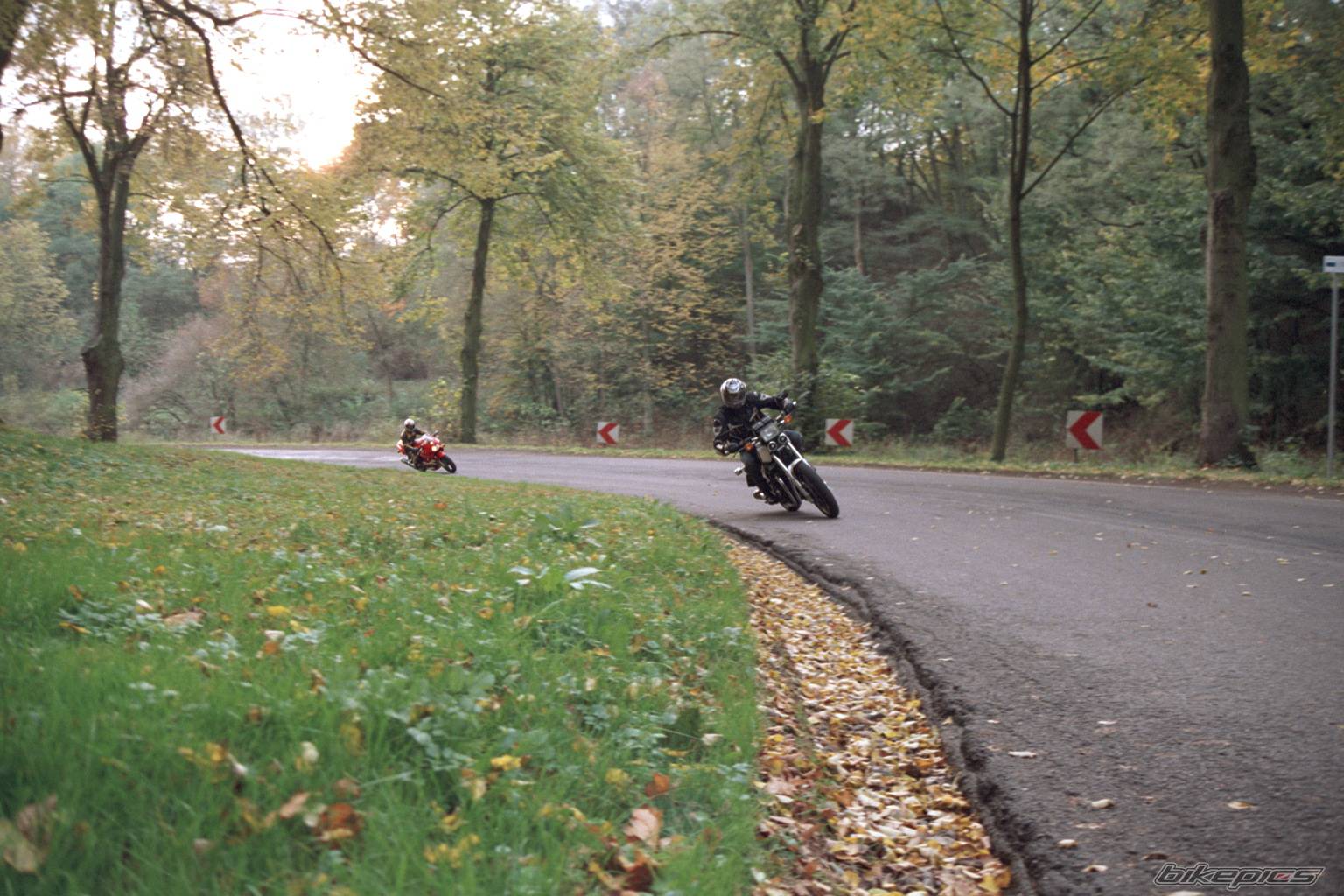 Photo 255862